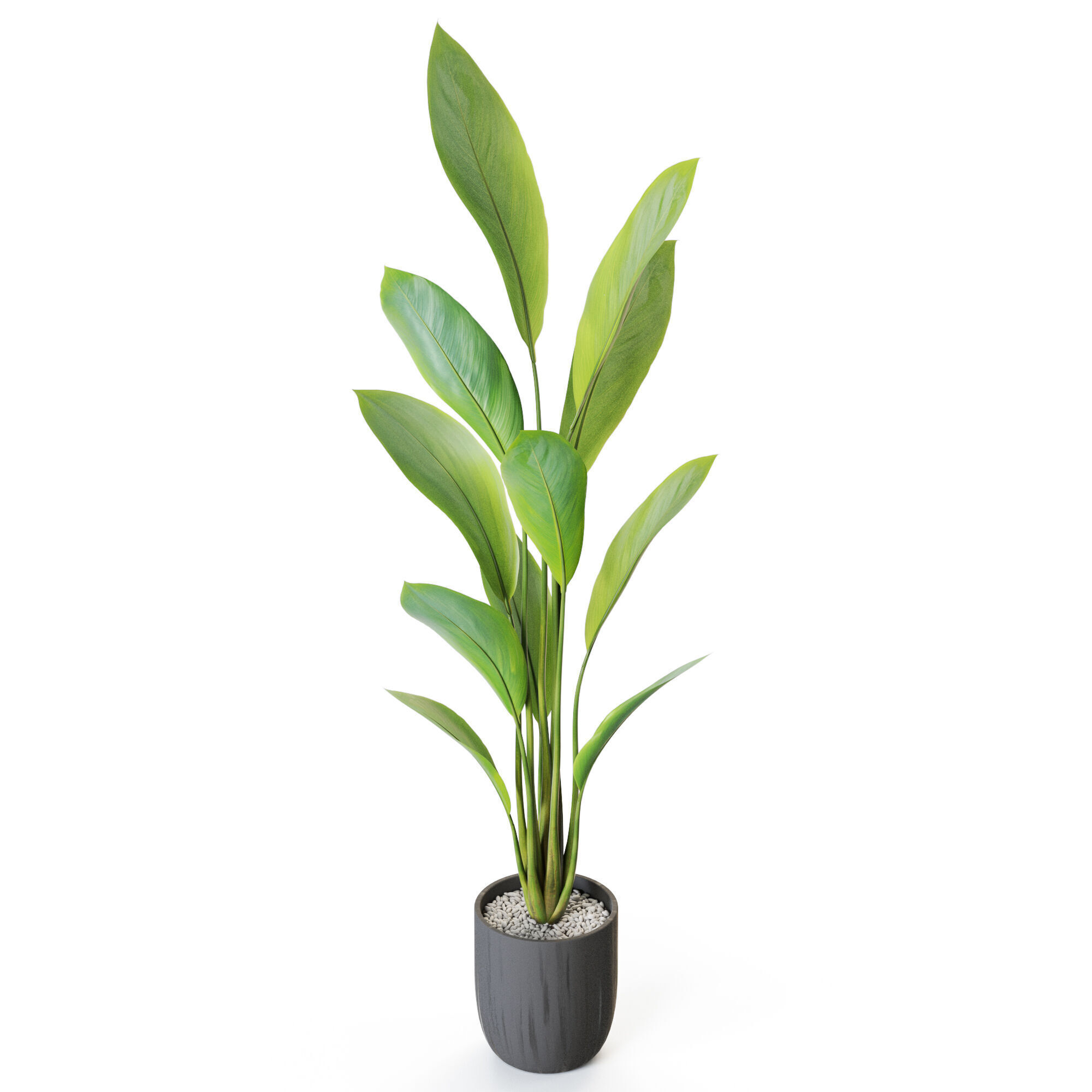 Plant 1214 3D model_3