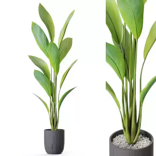 Plant 1214 3D model