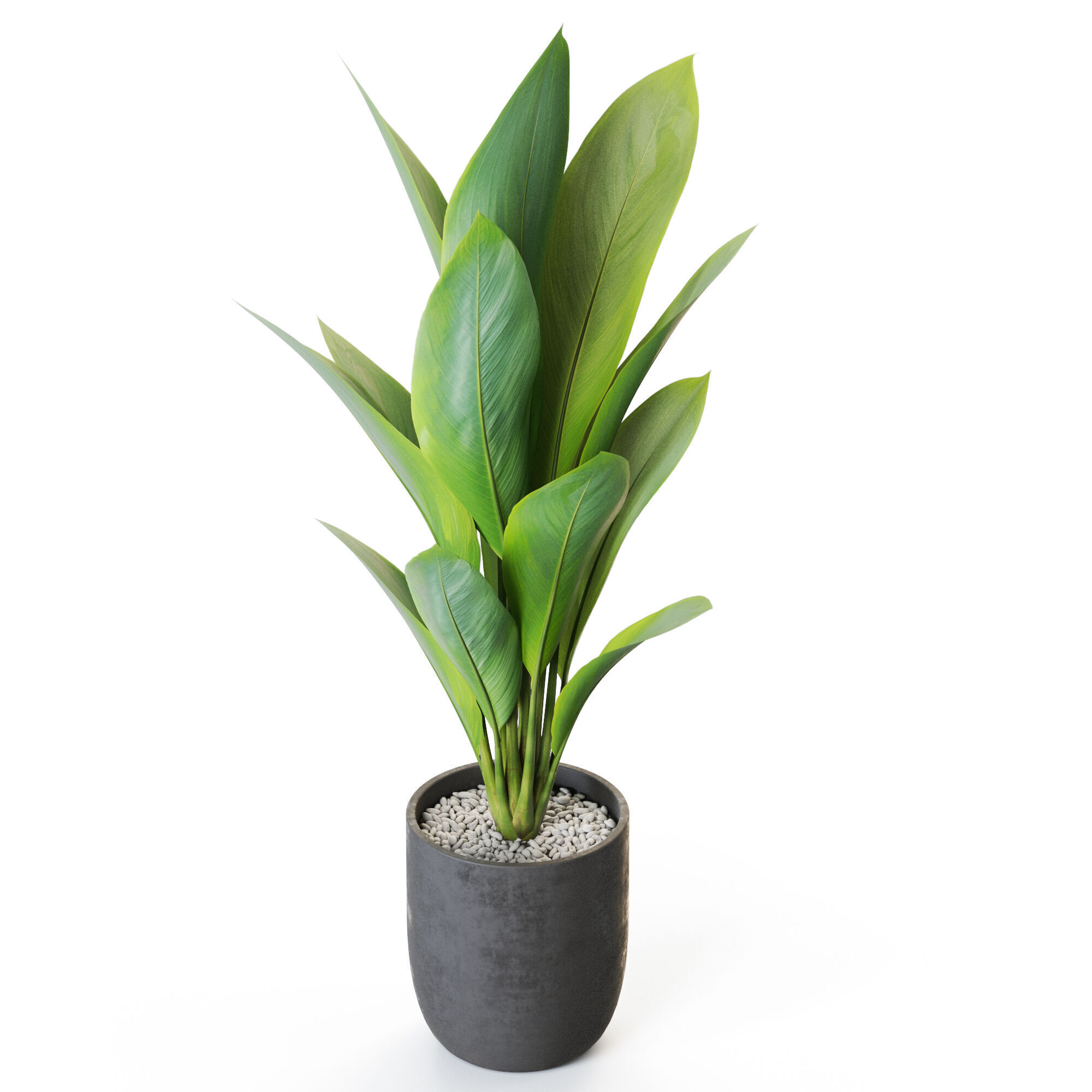 Plant 1215 3D model_3