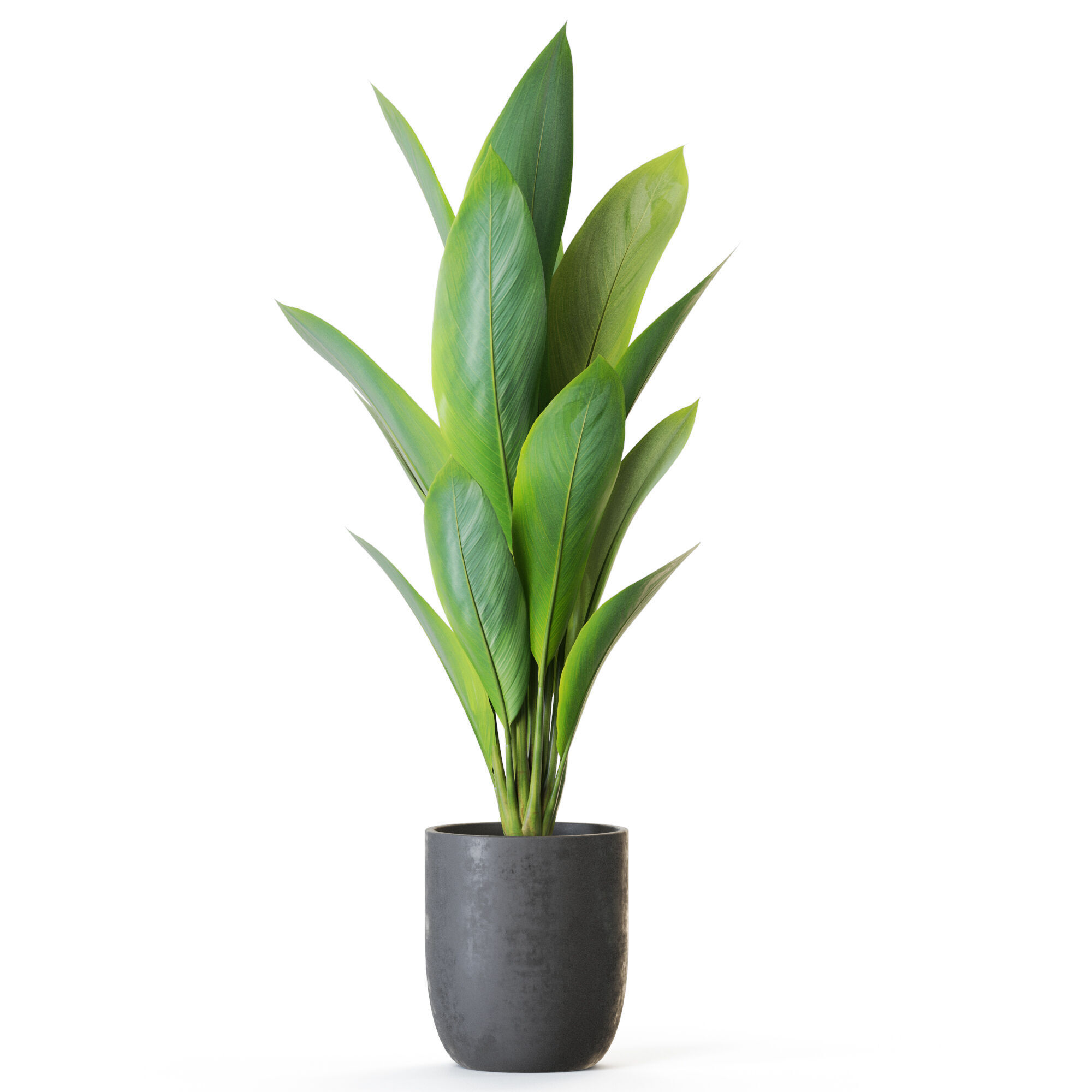 Plant 1215 3D model_1