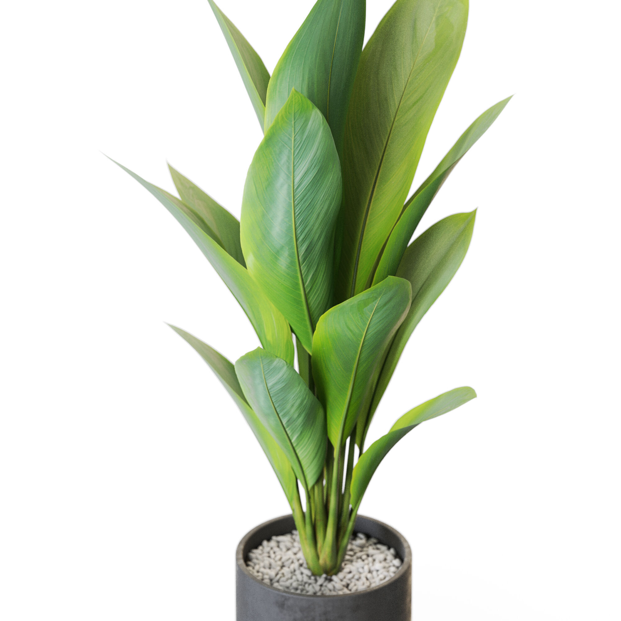 Plant 1215 3D model_2