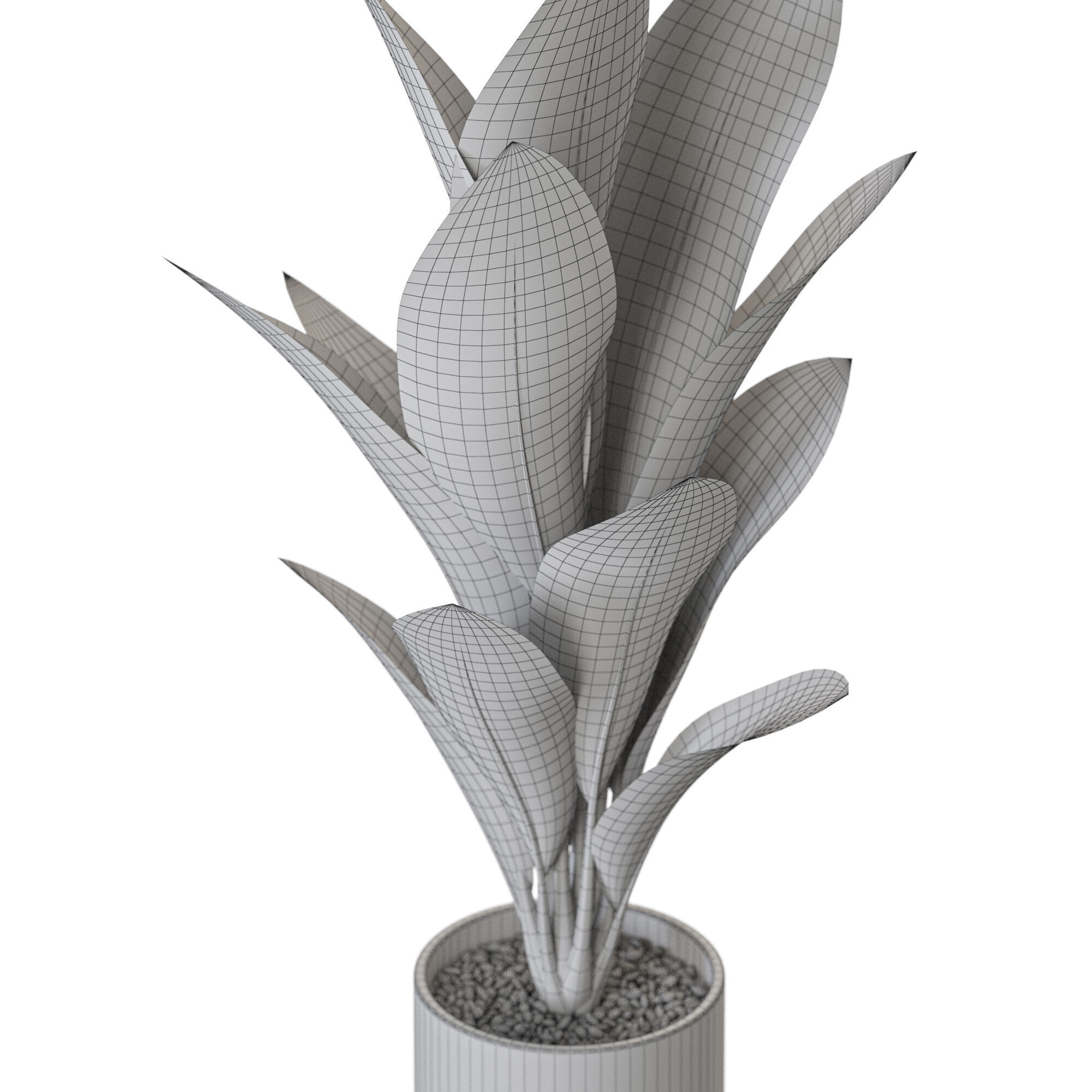 Plant 1215 3D model_5
