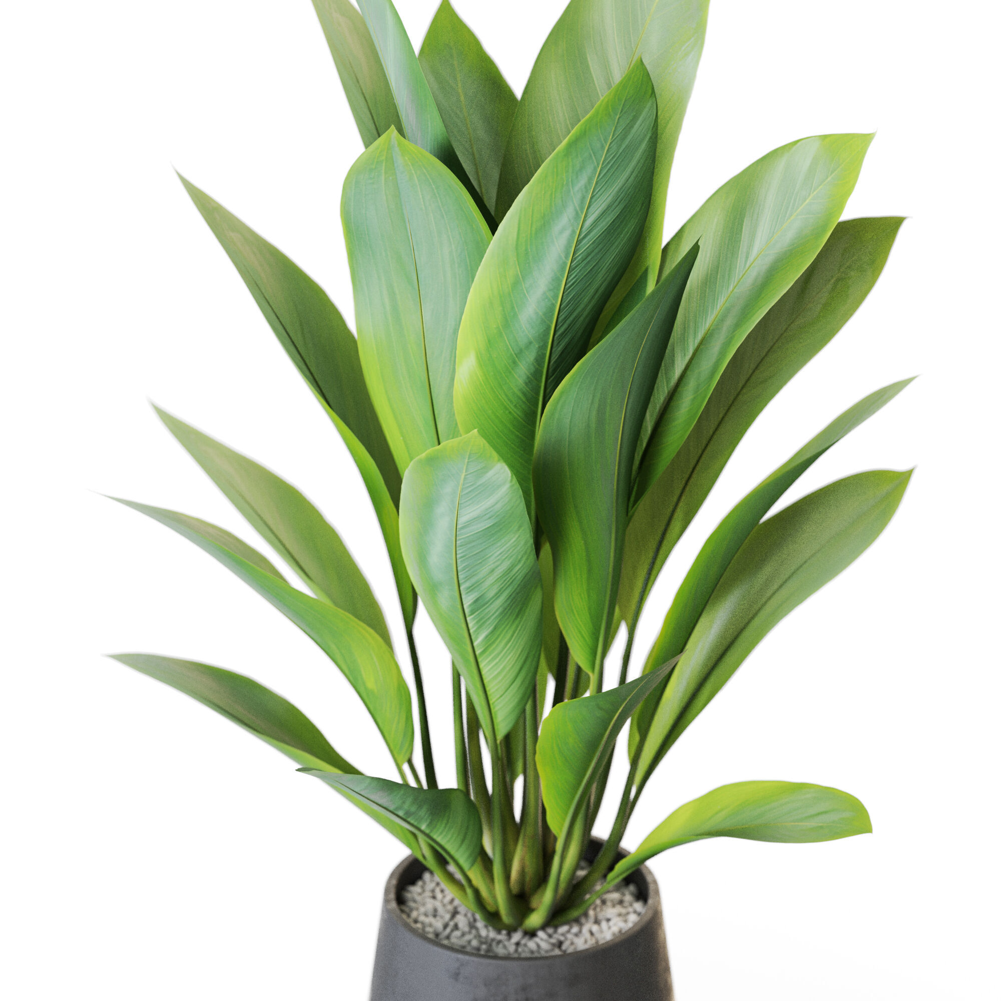  Plant 1216 3D model_2