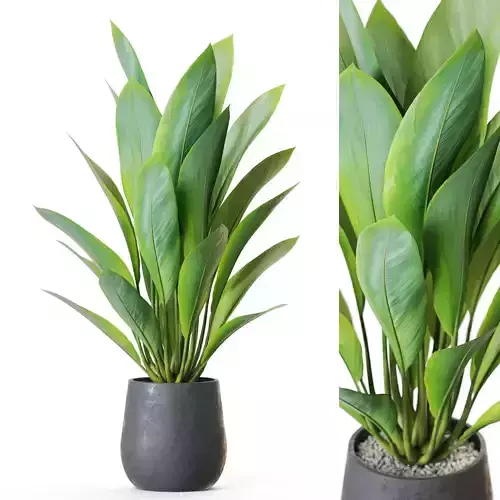  Plant 1216 3D model