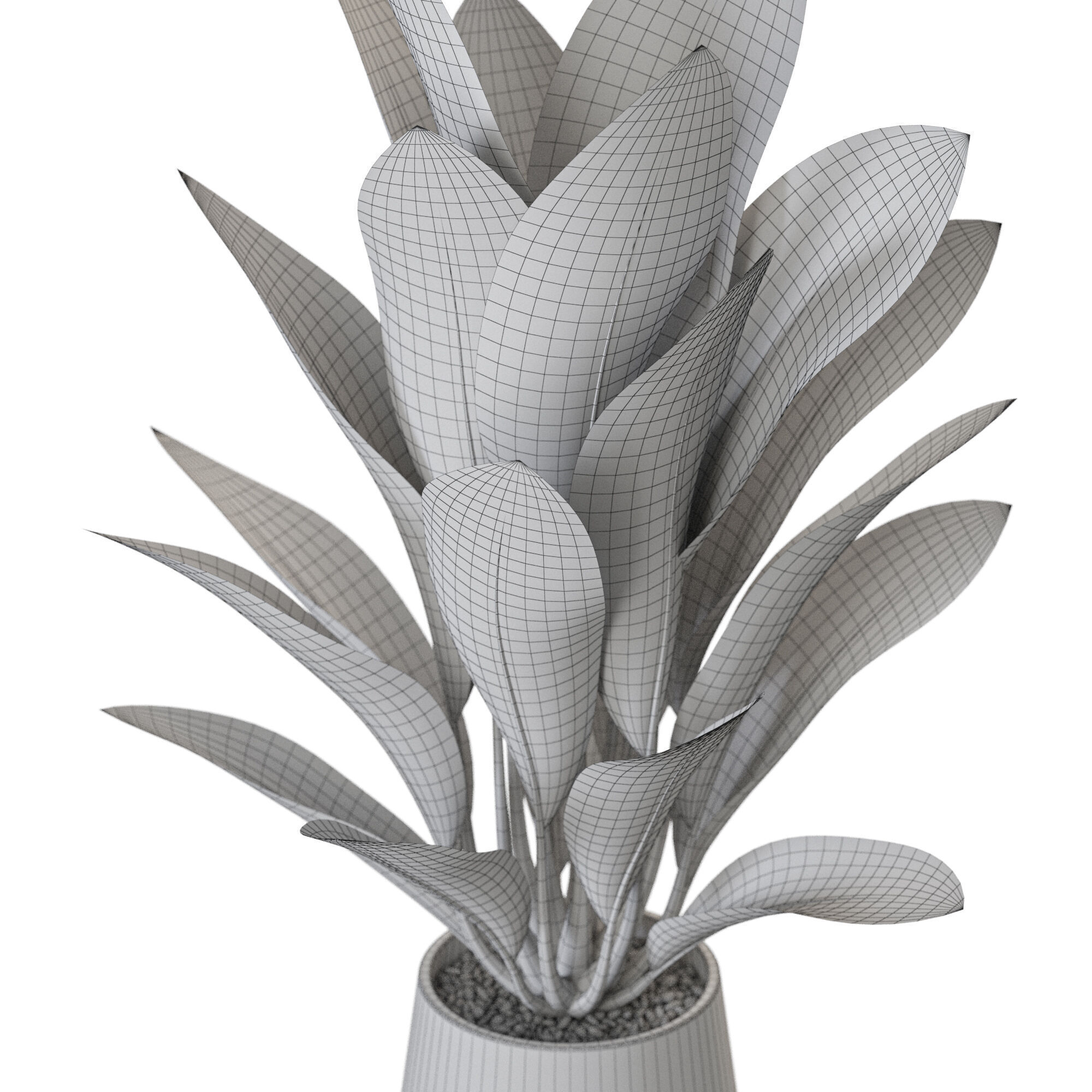  Plant 1216 3D model_4