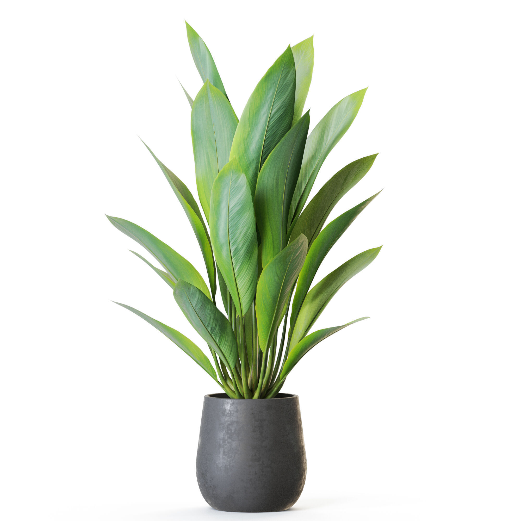  Plant 1216 3D model_1