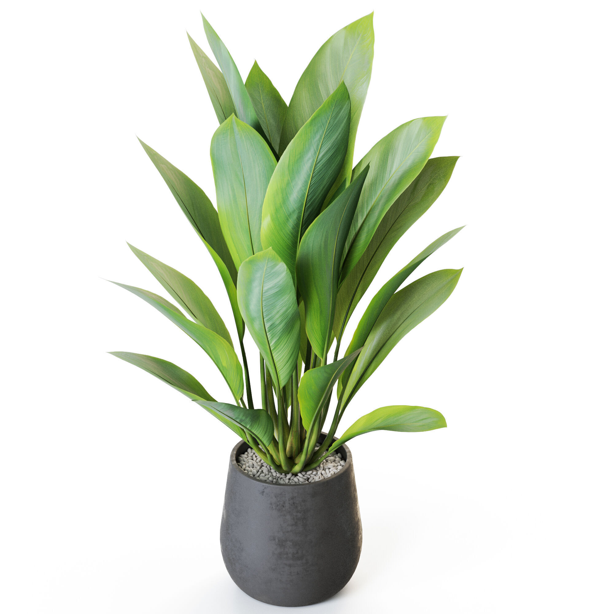  Plant 1216 3D model_3