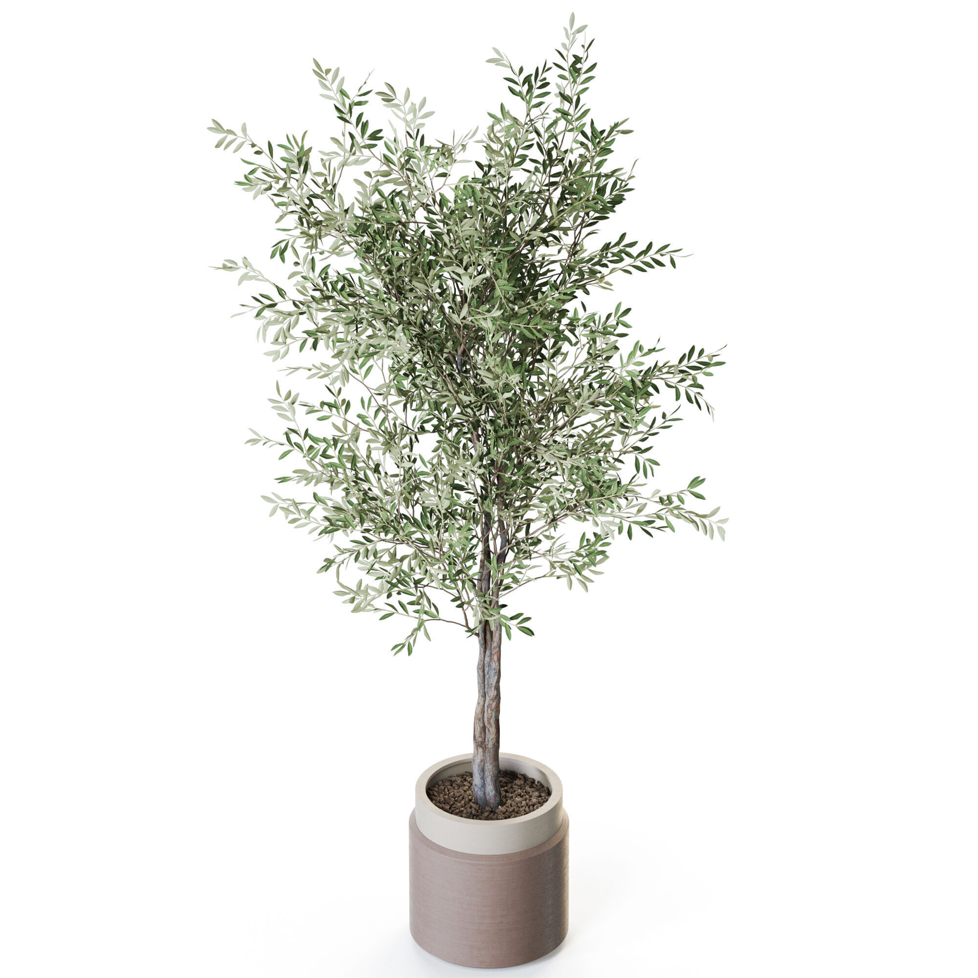 Plant 1216 3D model_3