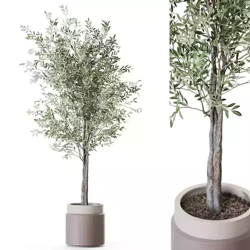 Plant 1216 3D model