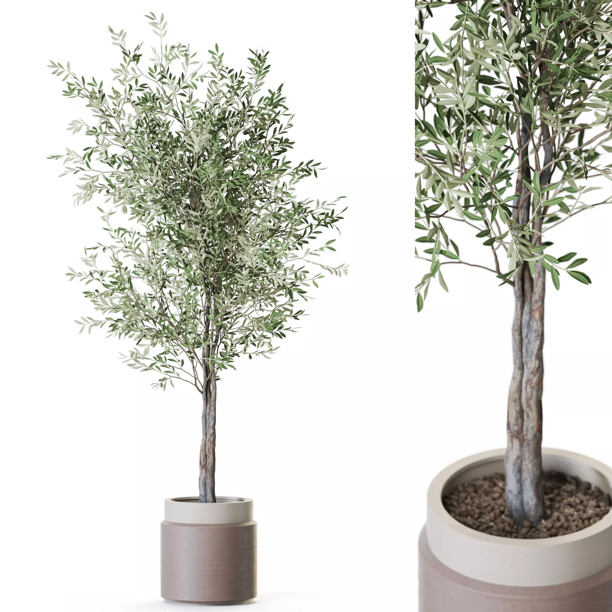 Plant 1216 3D model_0