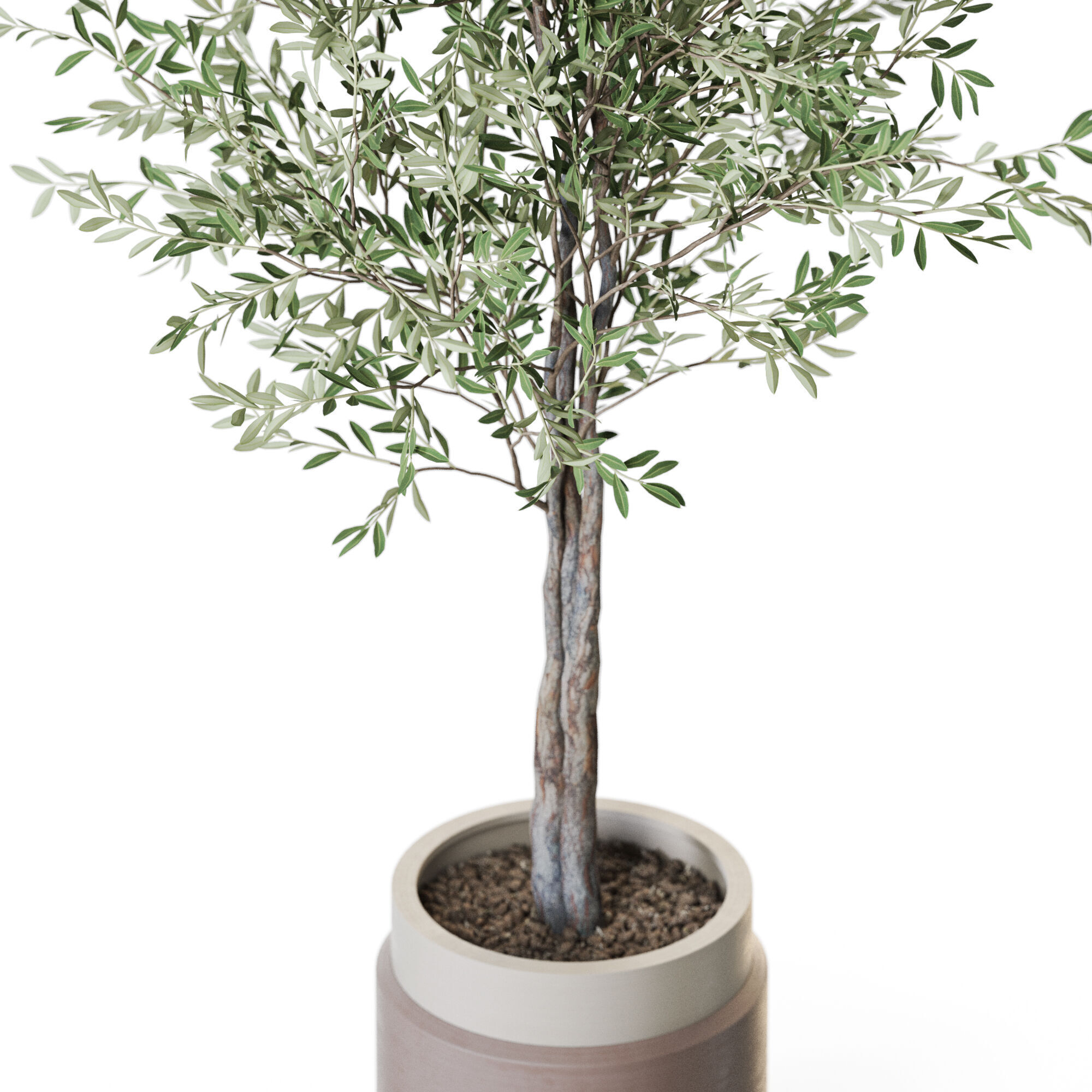 Plant 1216 3D model_2