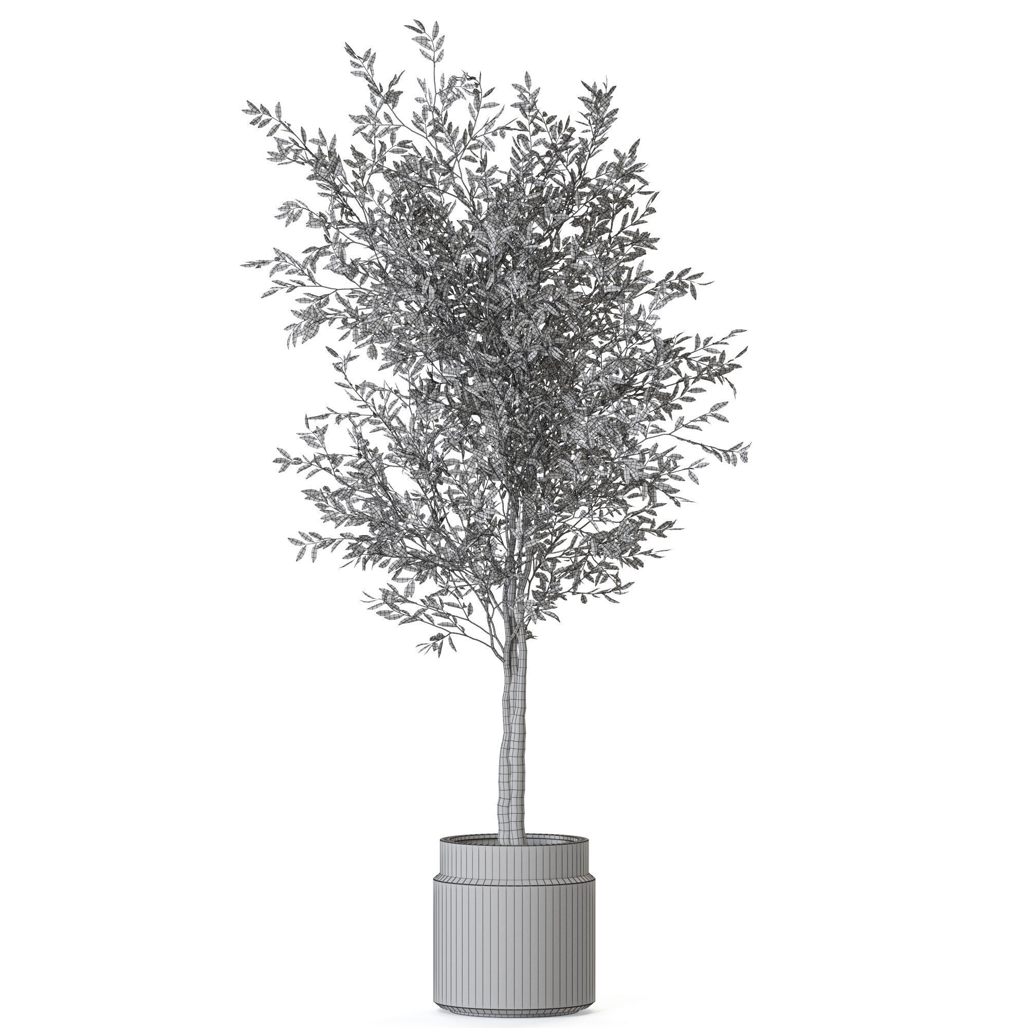 Plant 1216 3D model_4