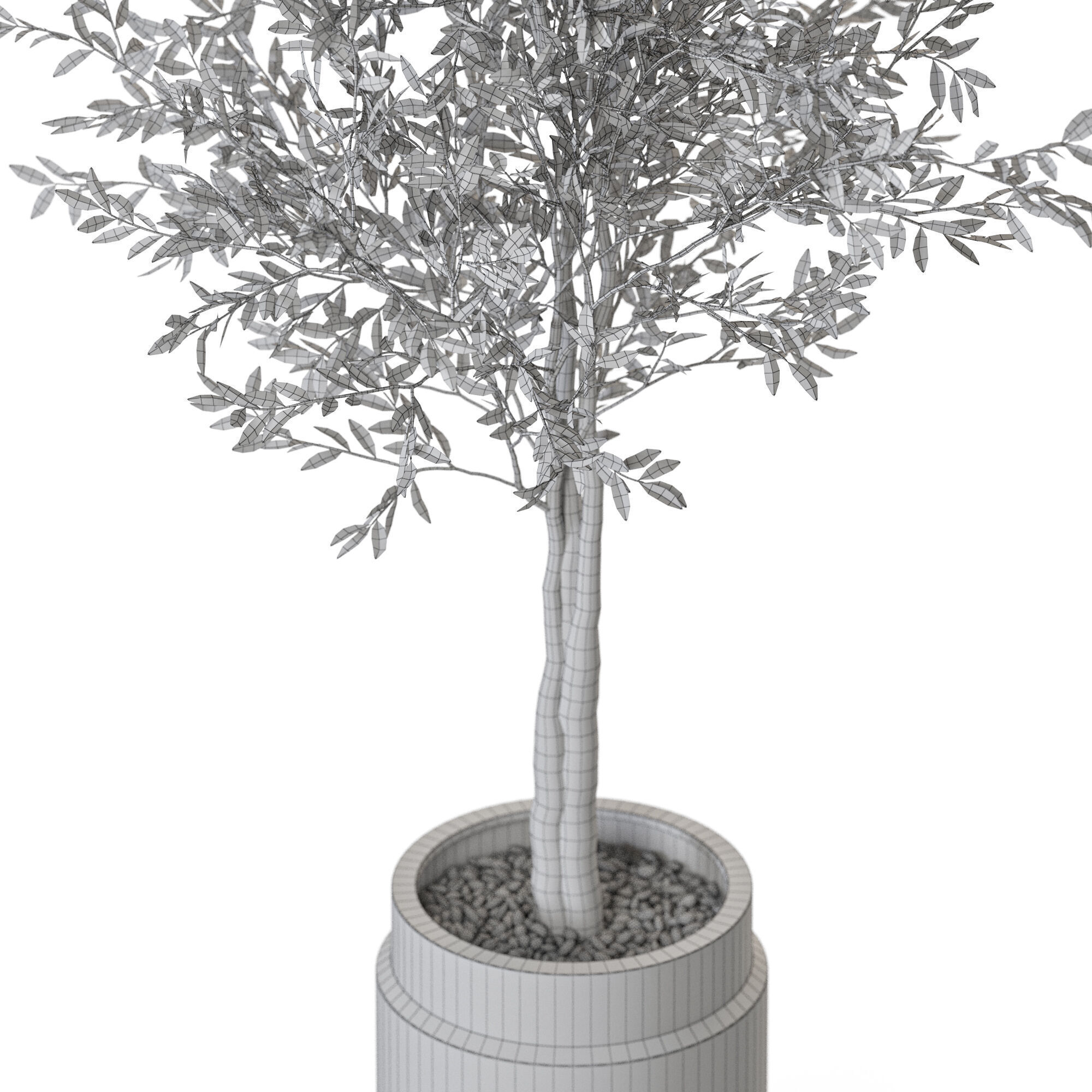 Plant 1216 3D model_5