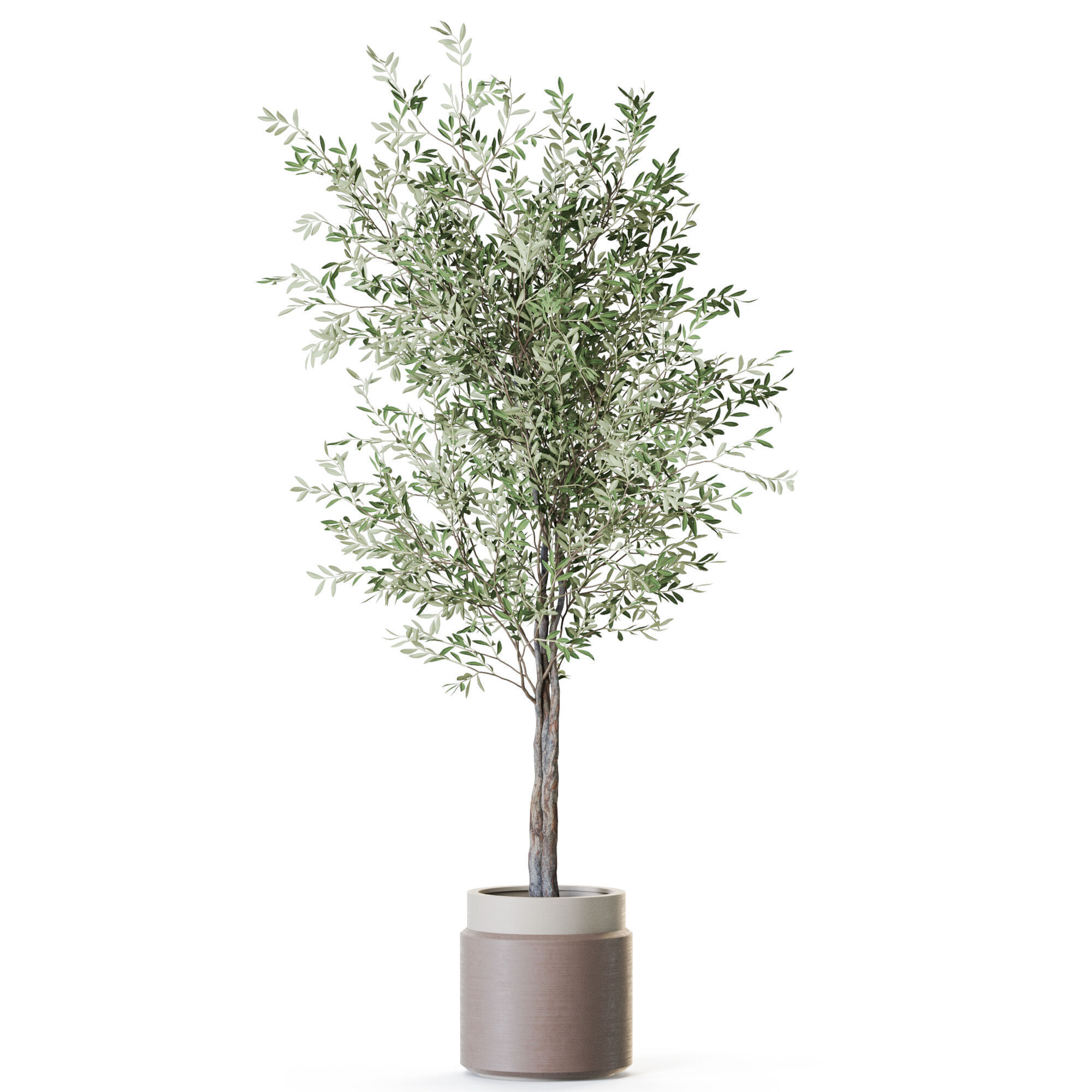 Plant 1216 3D model_1