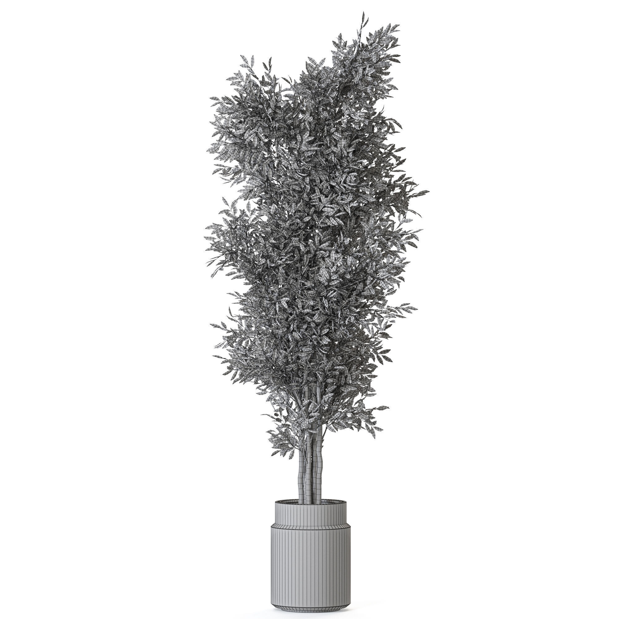 Plant 1218 3D model_4