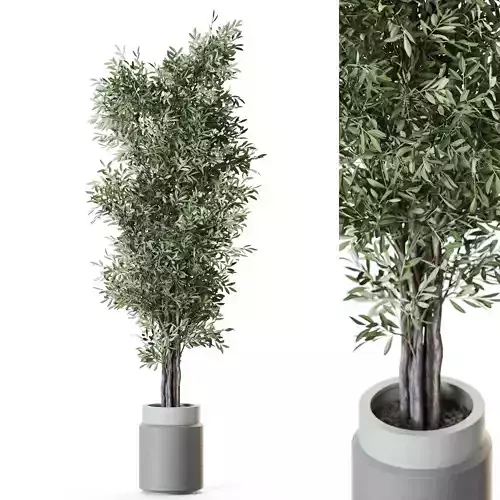 Plant 1218 3D model