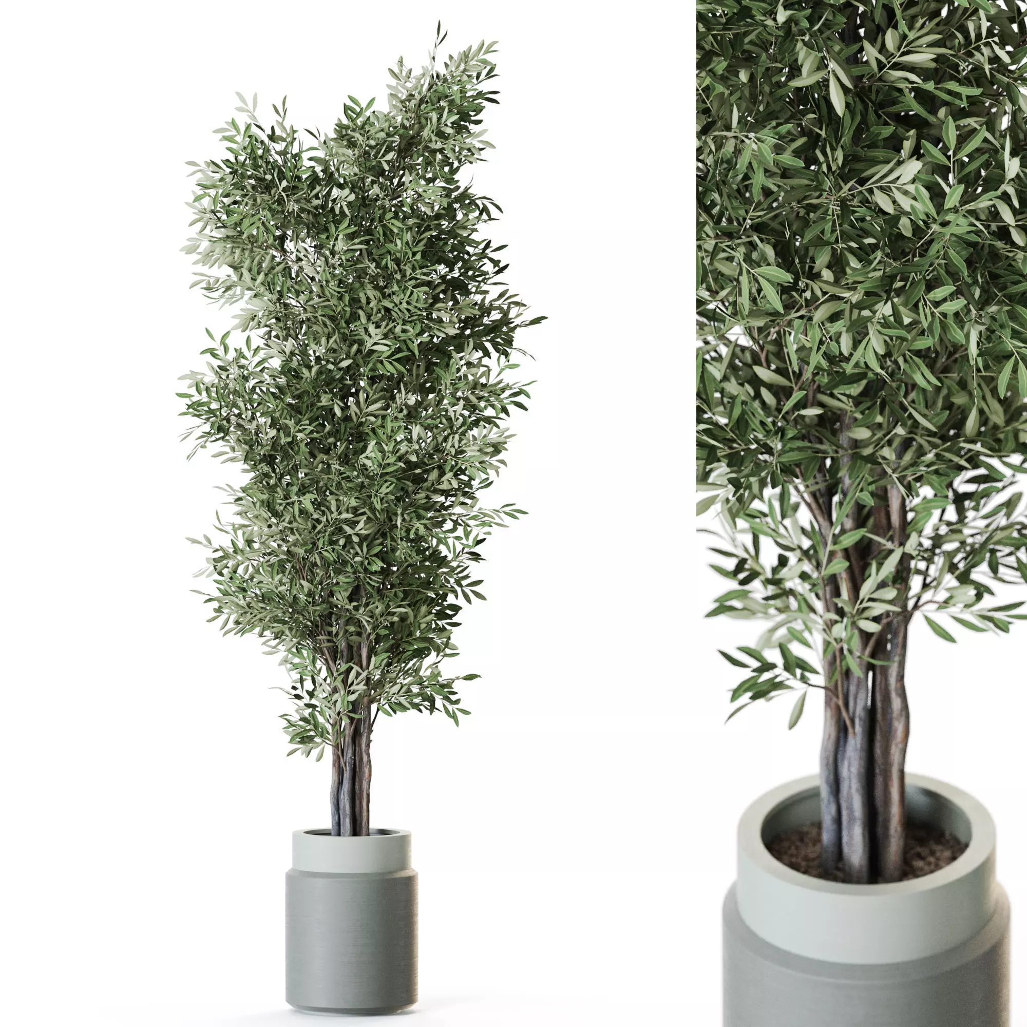 Plant 1218 3D model_0