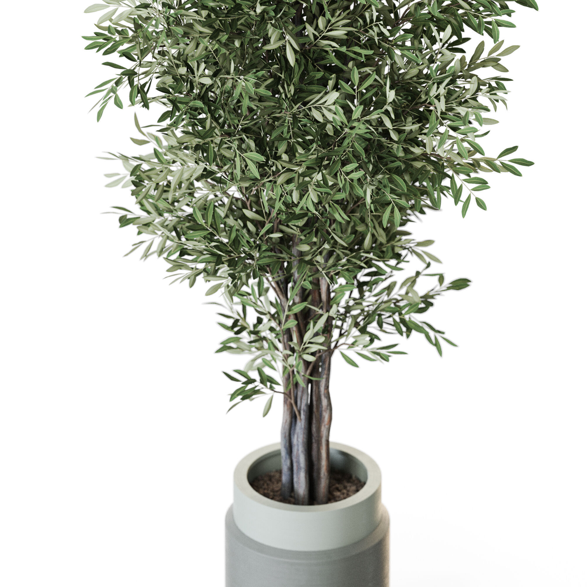 Plant 1218 3D model_2