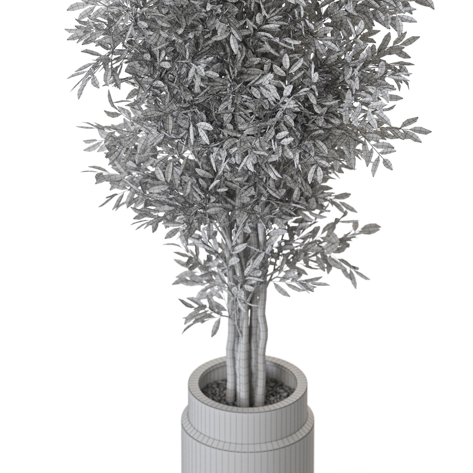 Plant 1218 3D model_5