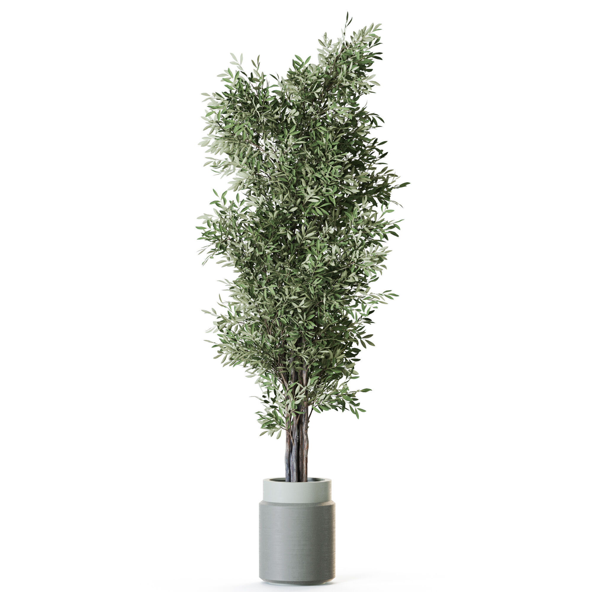 Plant 1218 3D model_1