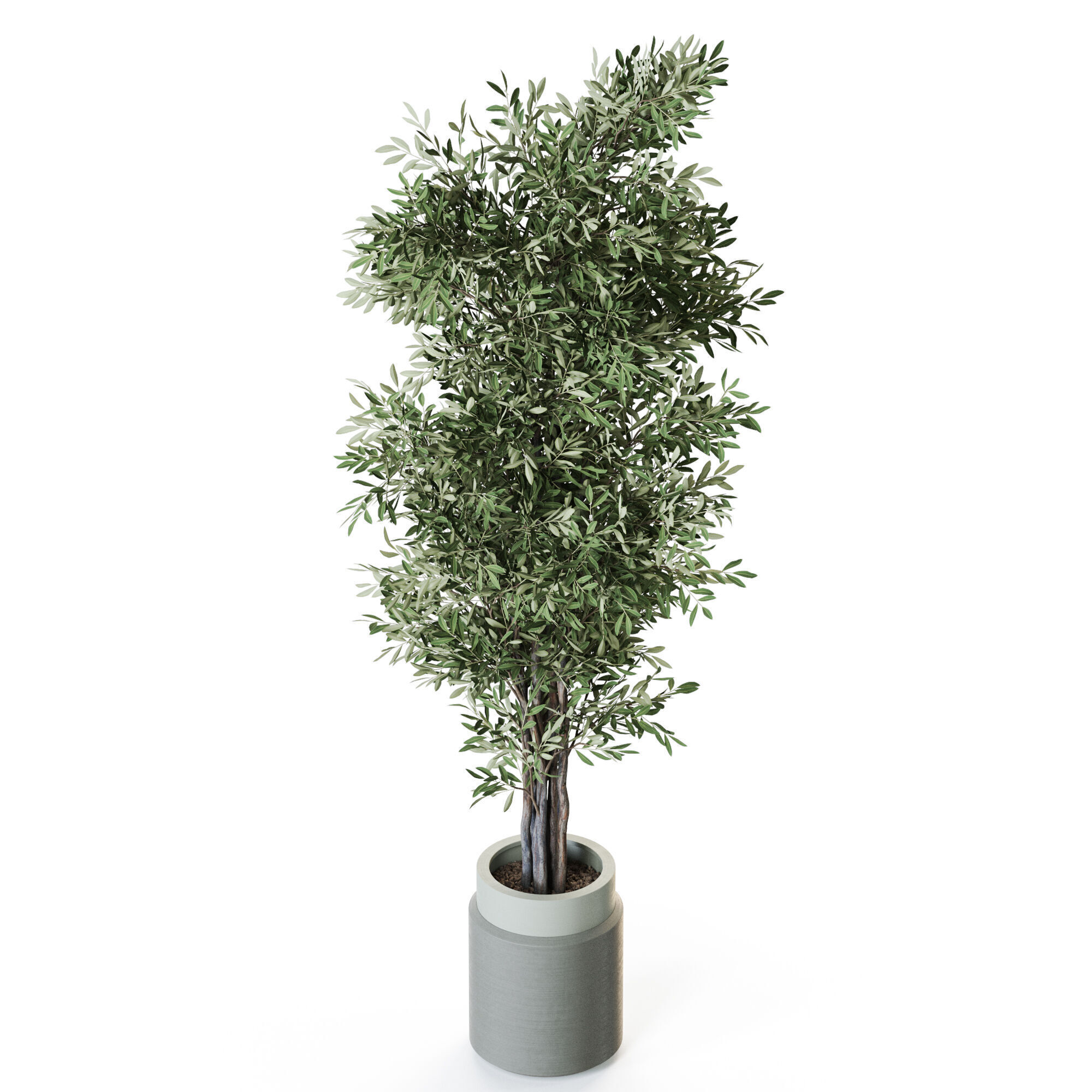 Plant 1218 3D model_3