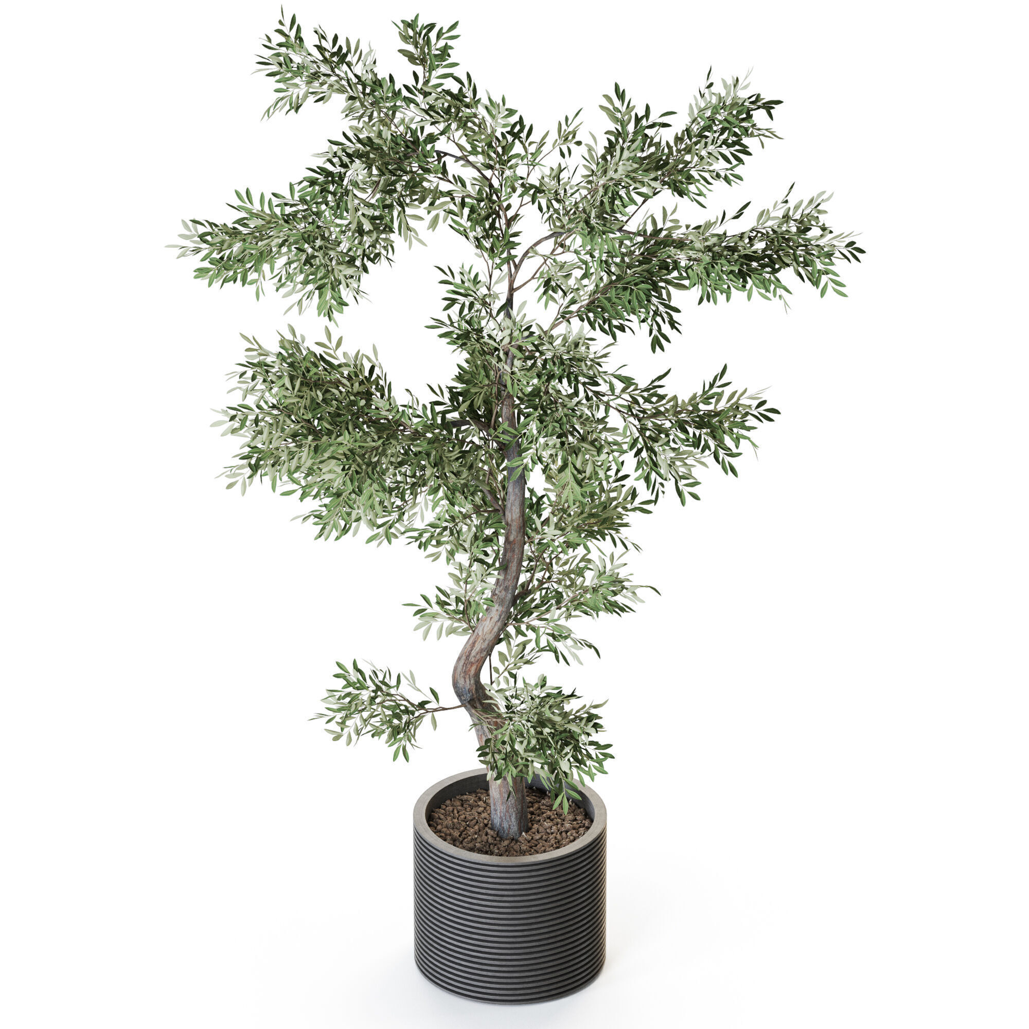 Plant 1219 3D model_3