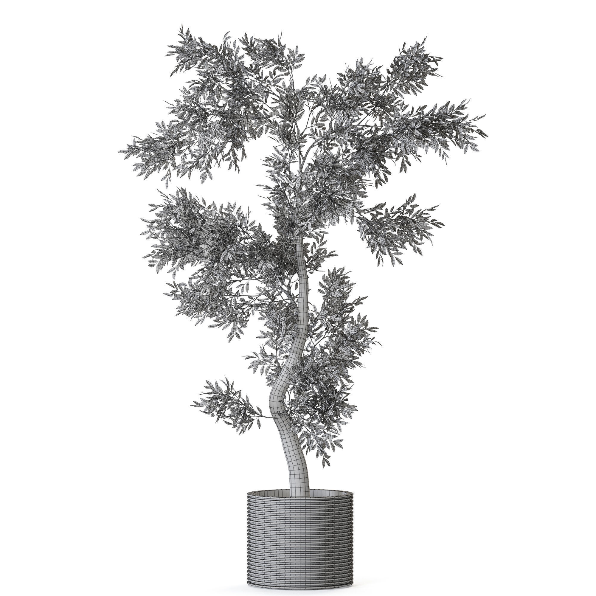 Plant 1219 3D model_4