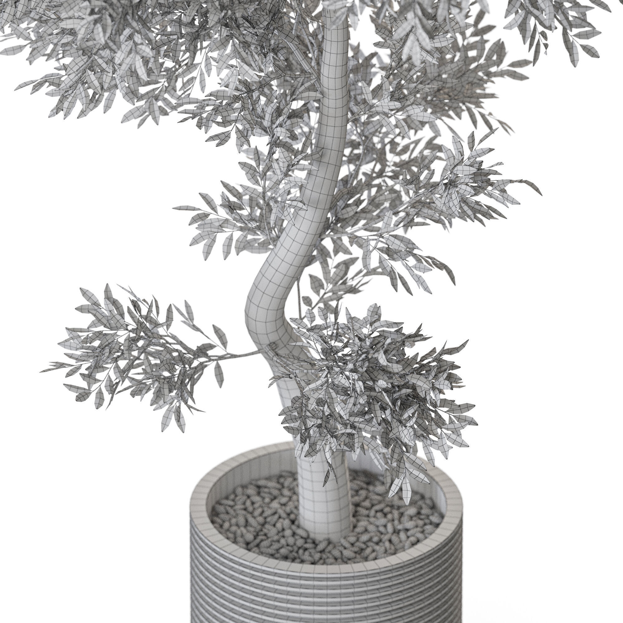 Plant 1219 3D model_5