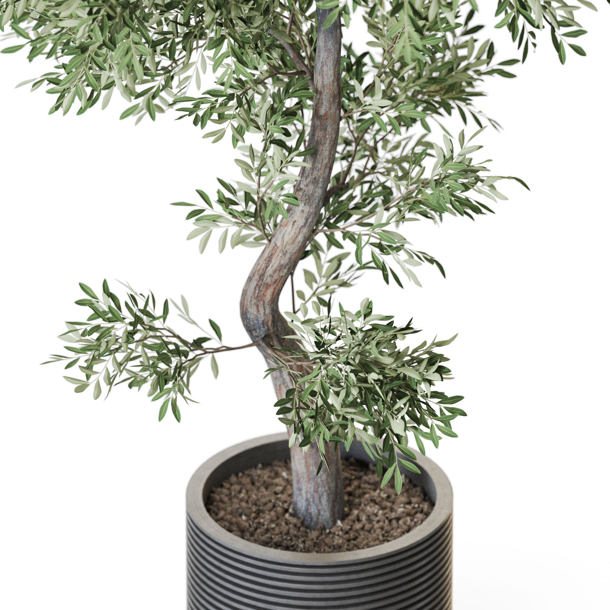 Plant 1219 3D model_2