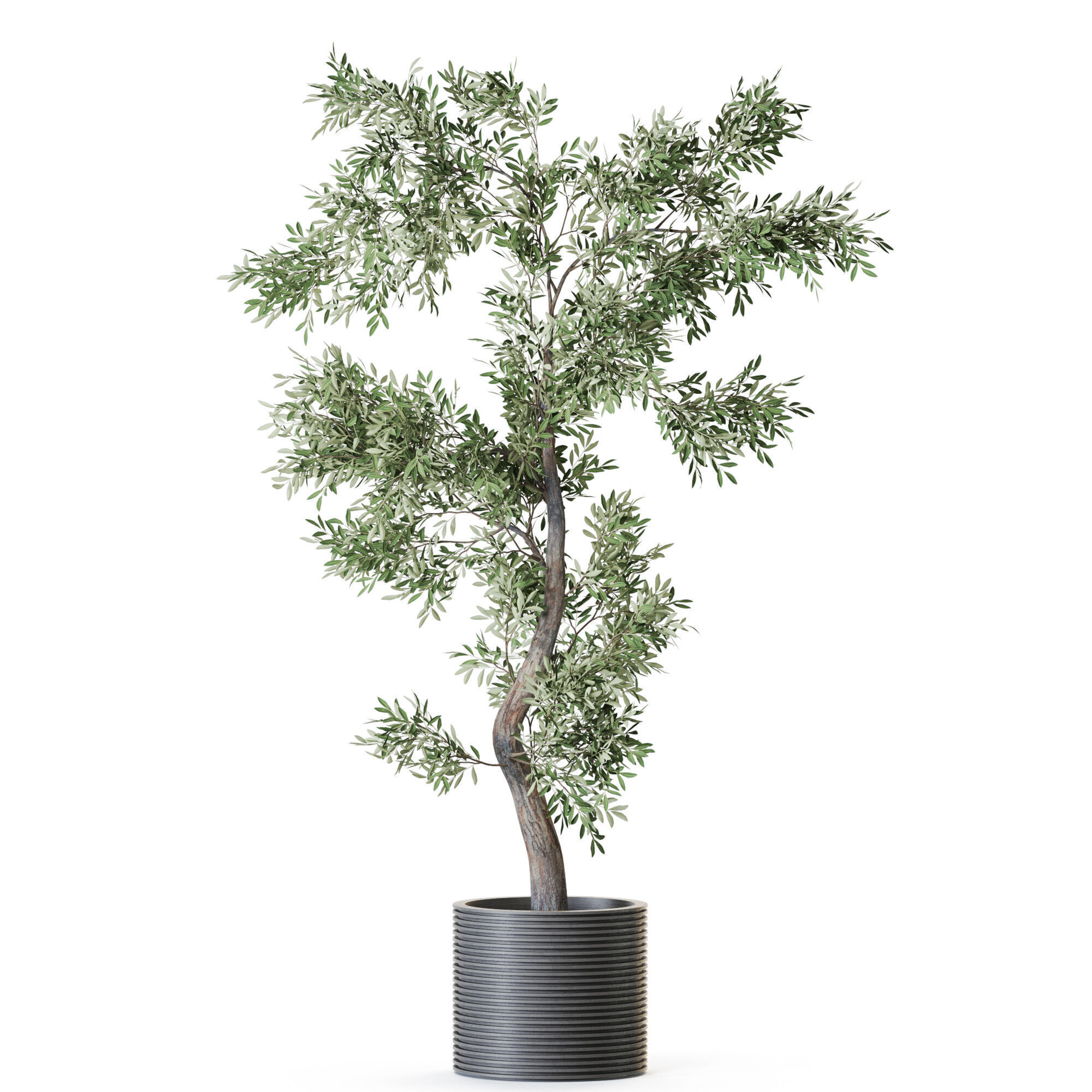 Plant 1219 3D model_1