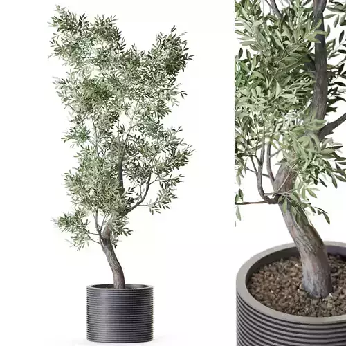 Plant 1219 3D model
