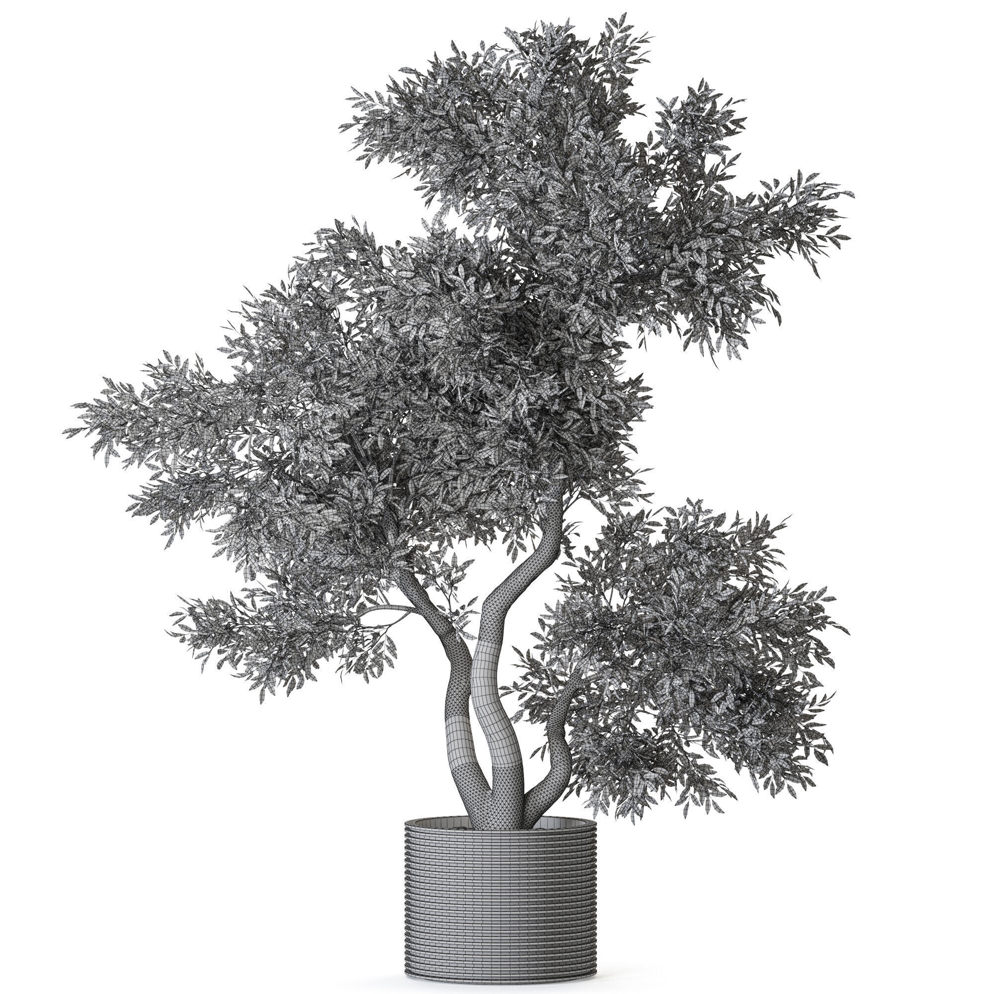 Plant 1220 3D model_4