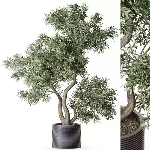 Plant 1220 3D model