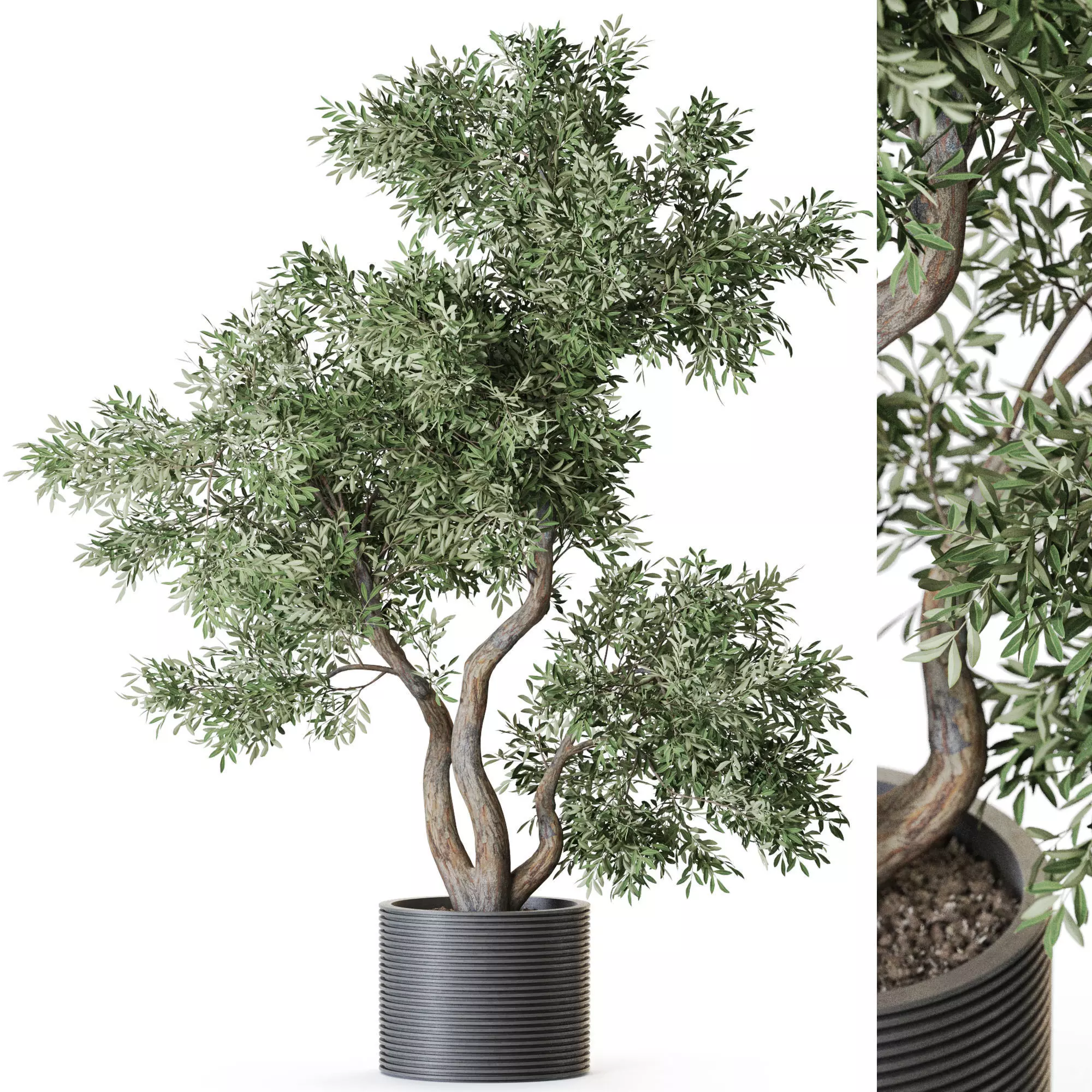 Plant 1220 3D model_0