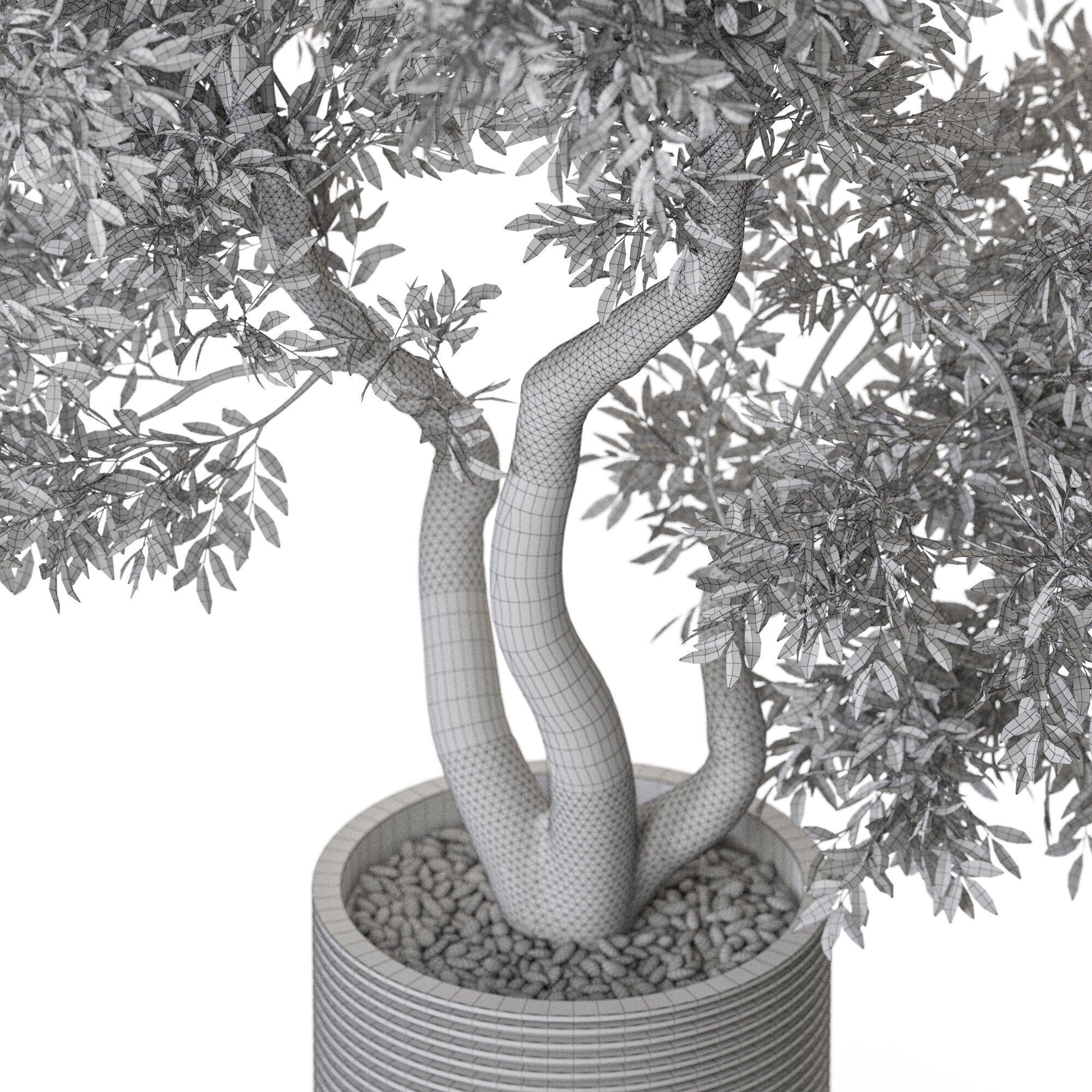 Plant 1220 3D model_5