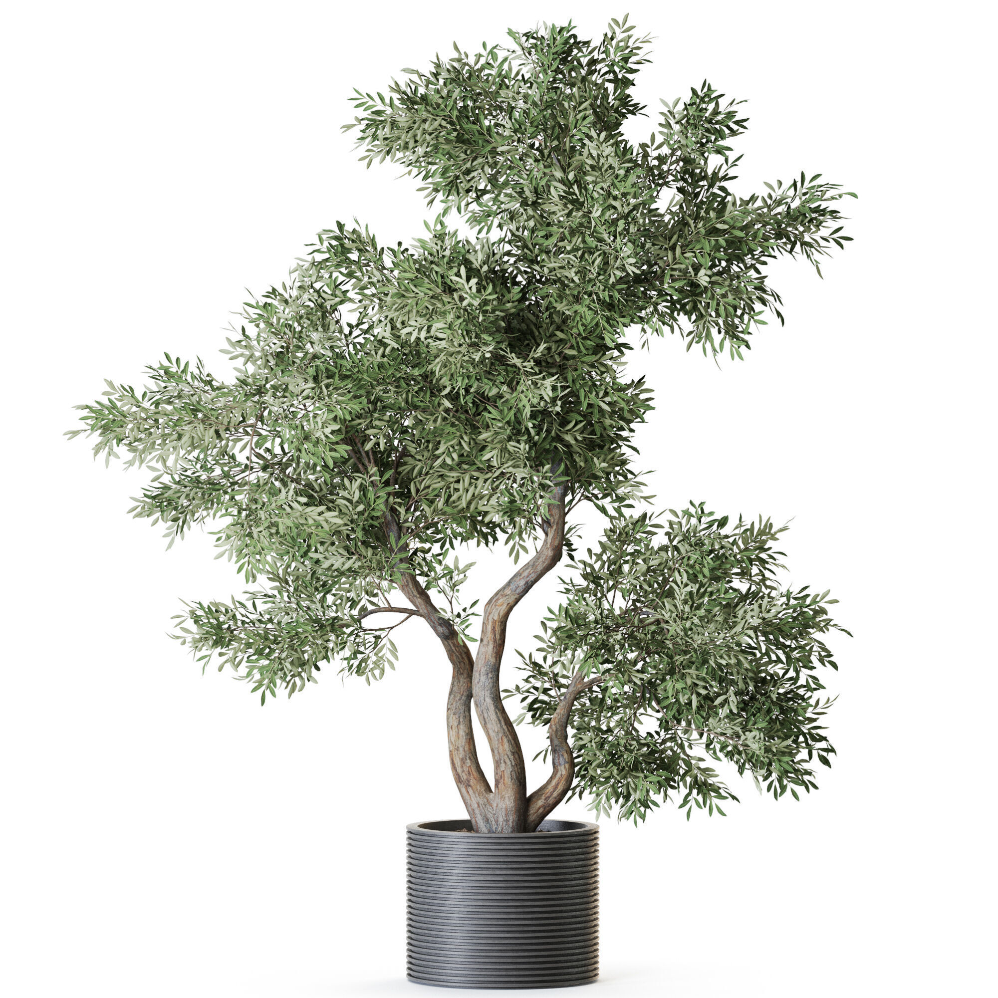 Plant 1220 3D model_1