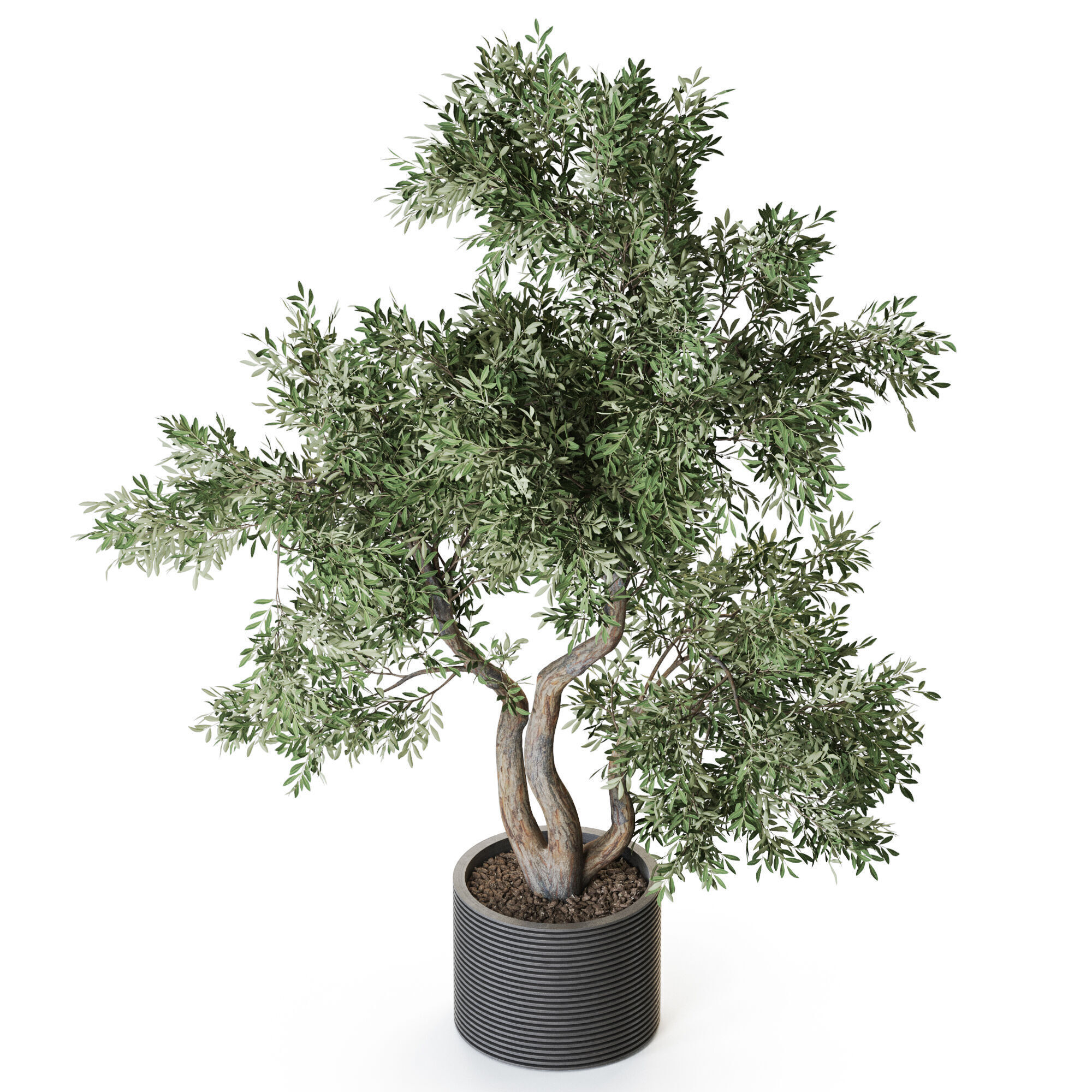 Plant 1220 3D model_3