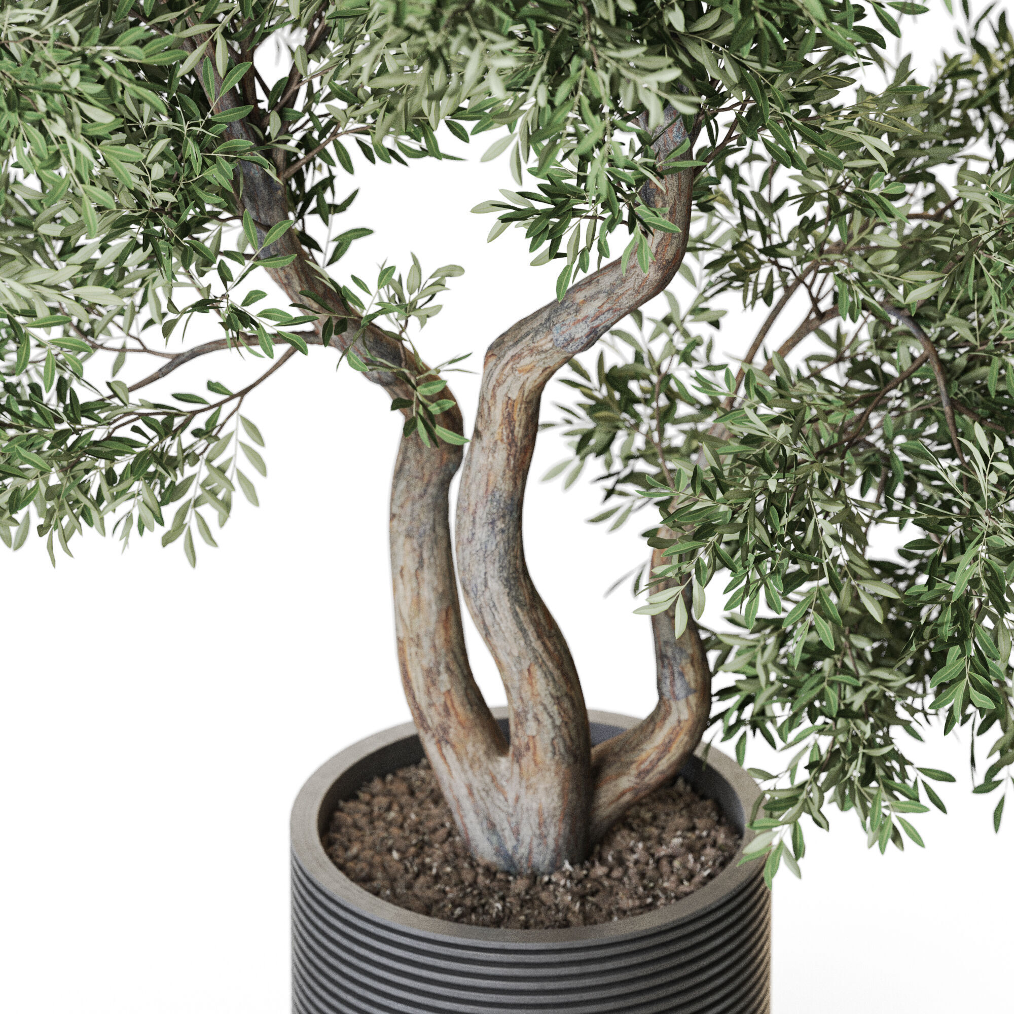 Plant 1220 3D model_2