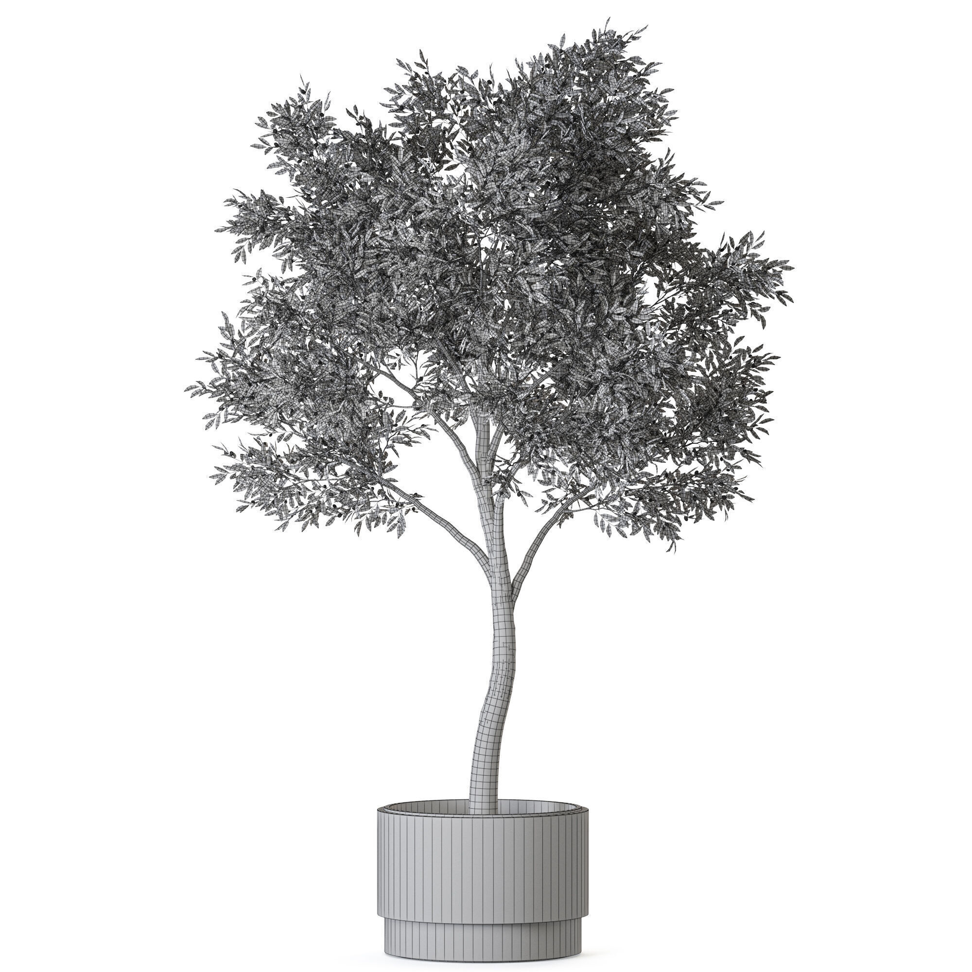 Plant 1221 3D model_4