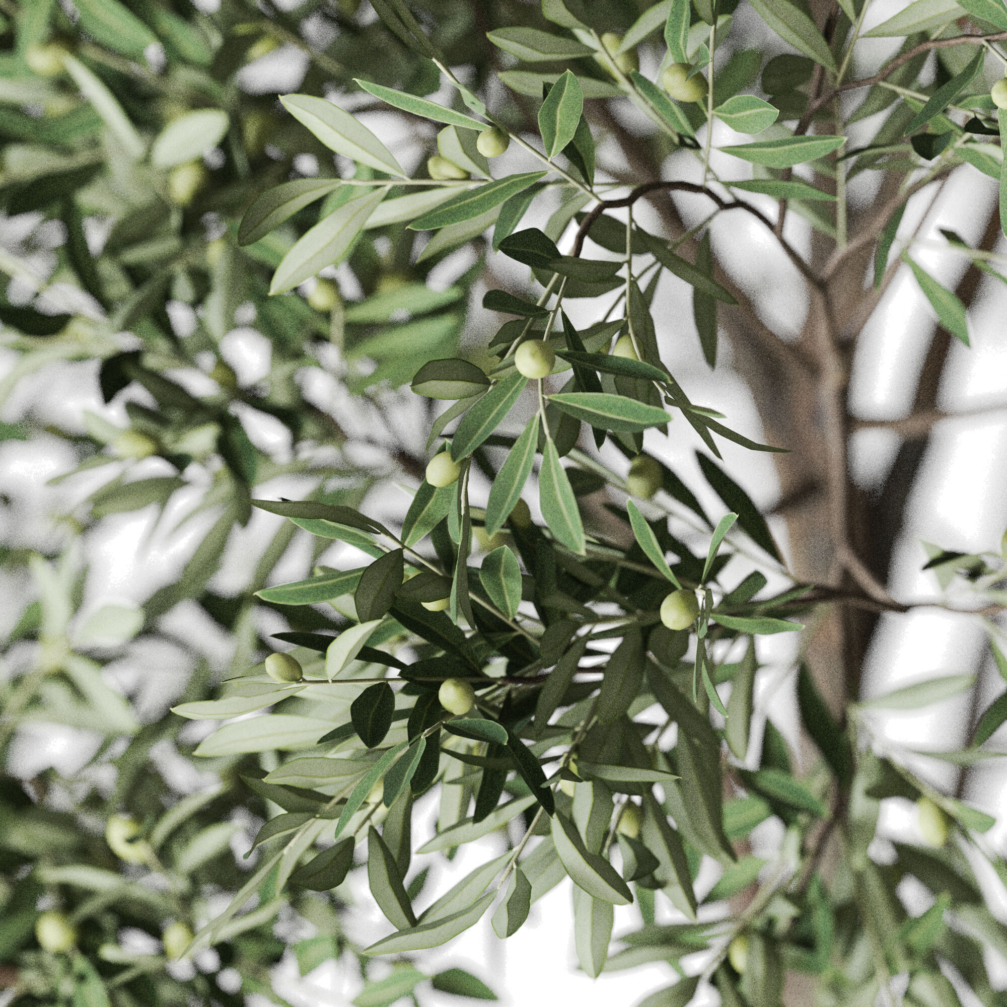 Plant 1221 3D model_2