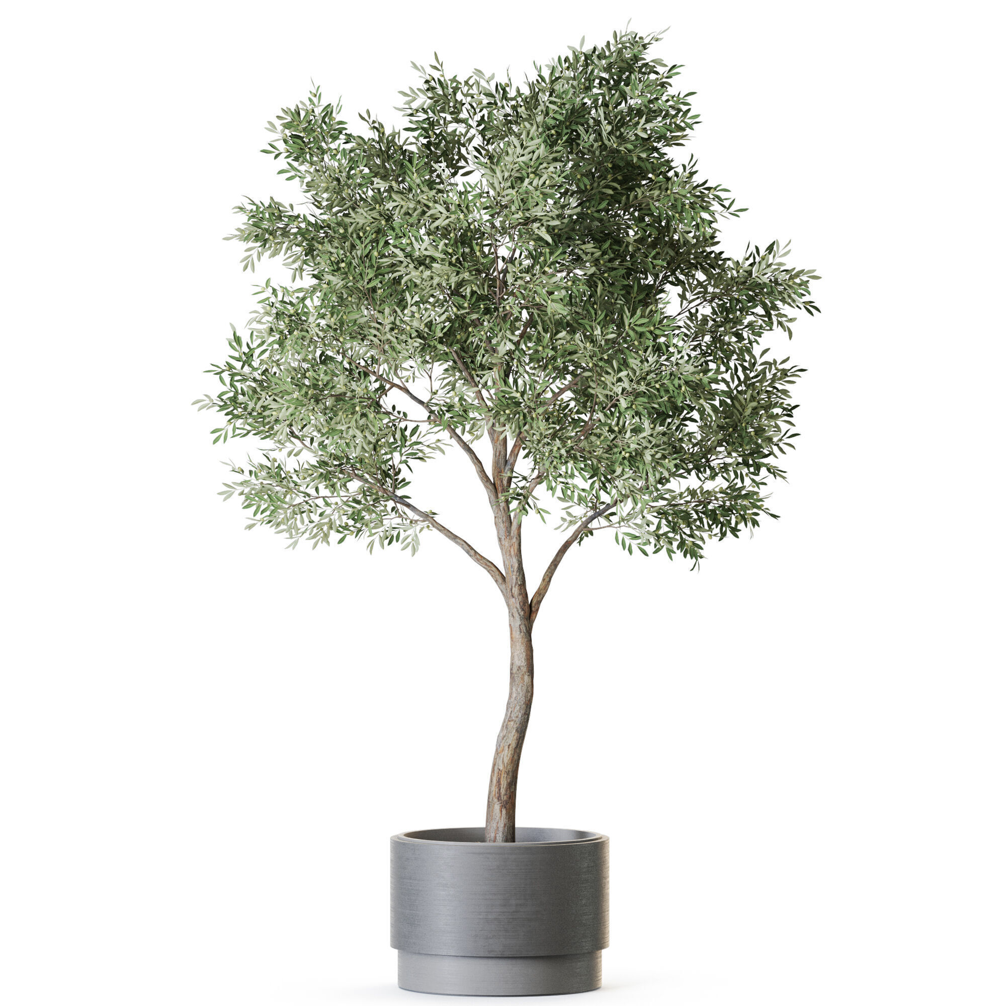 Plant 1221 3D model_1