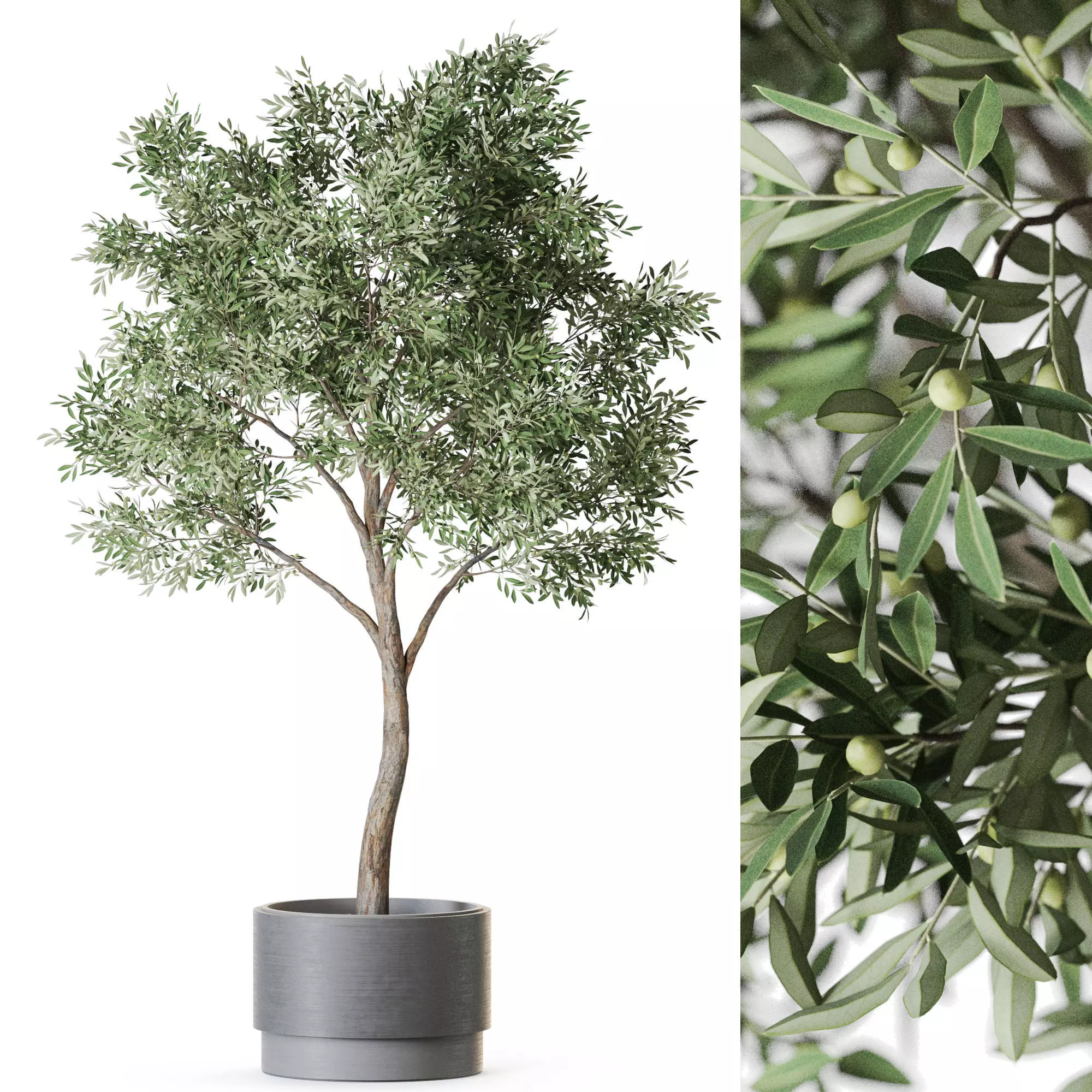 Plant 1221 3D model_0