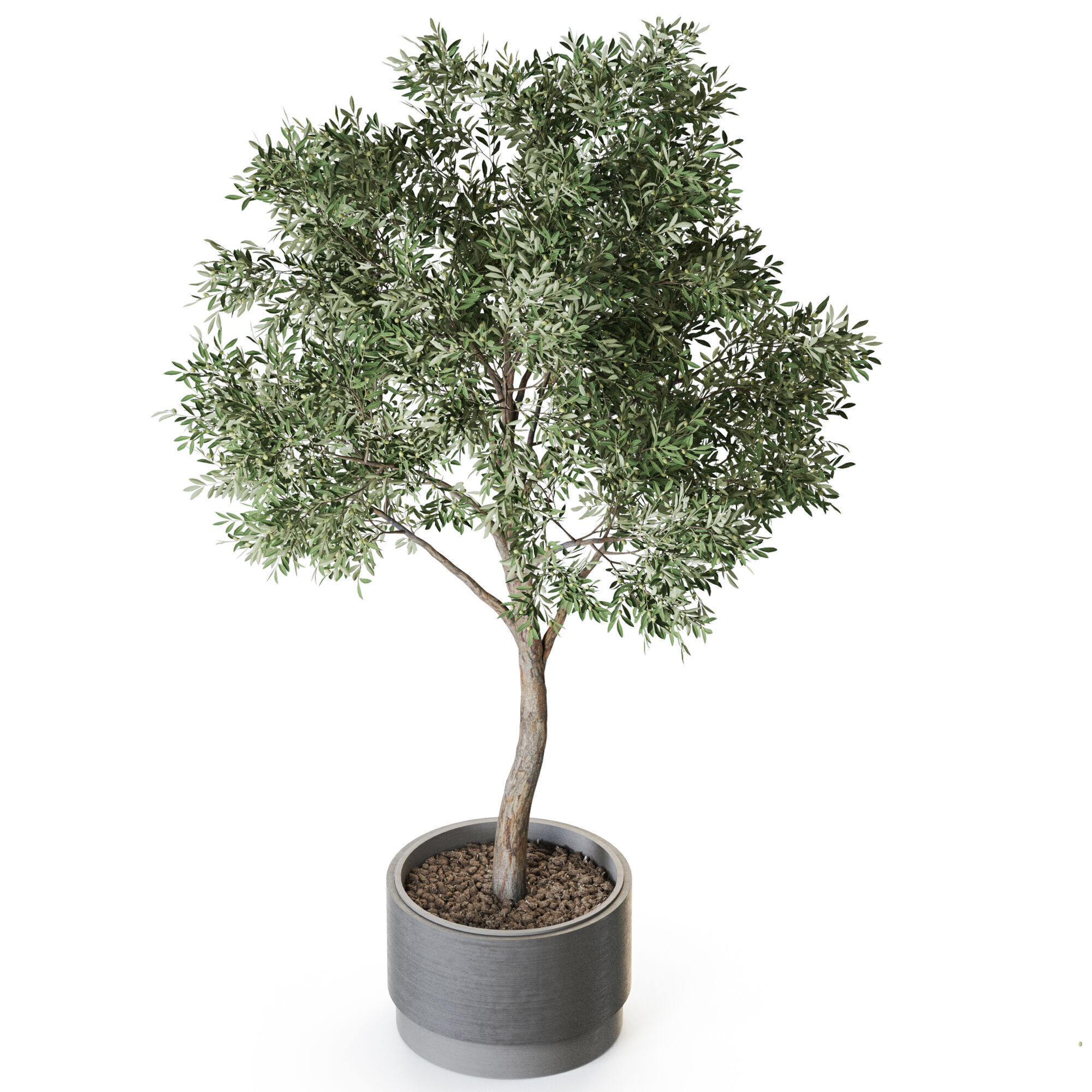 Plant 1221 3D model_3