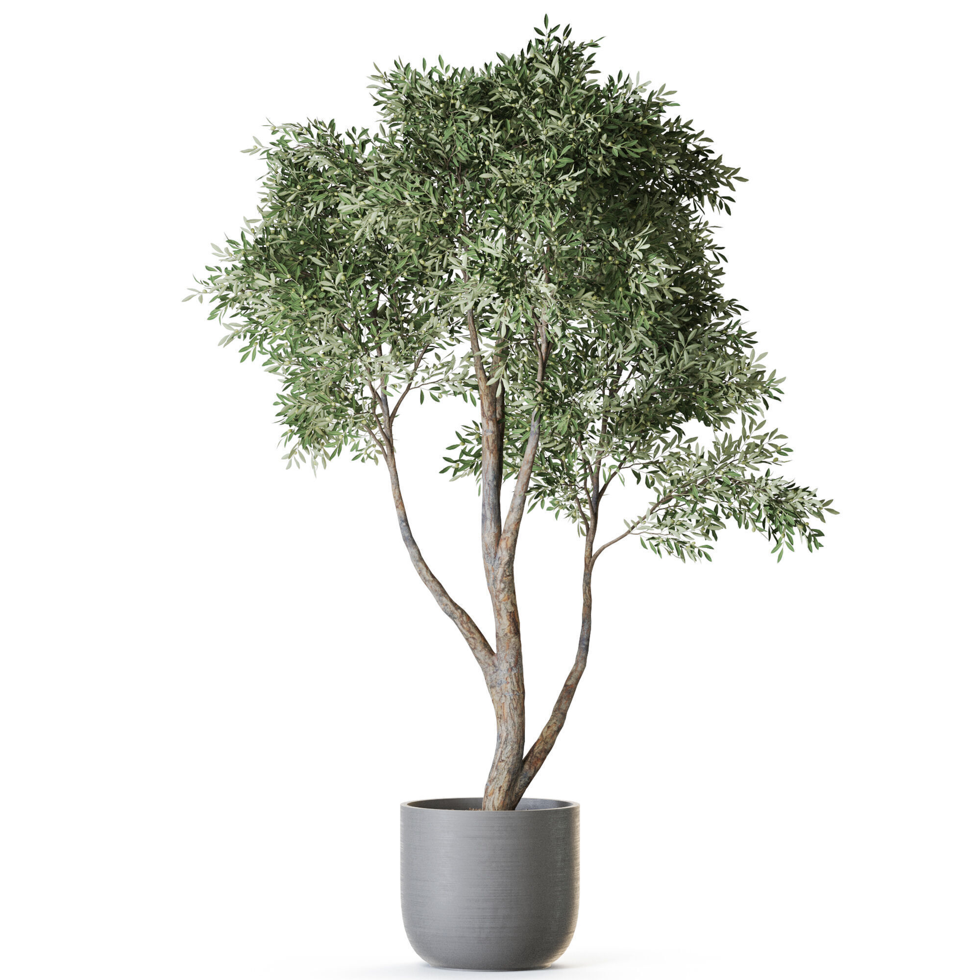 Plant 1222 3D model_1