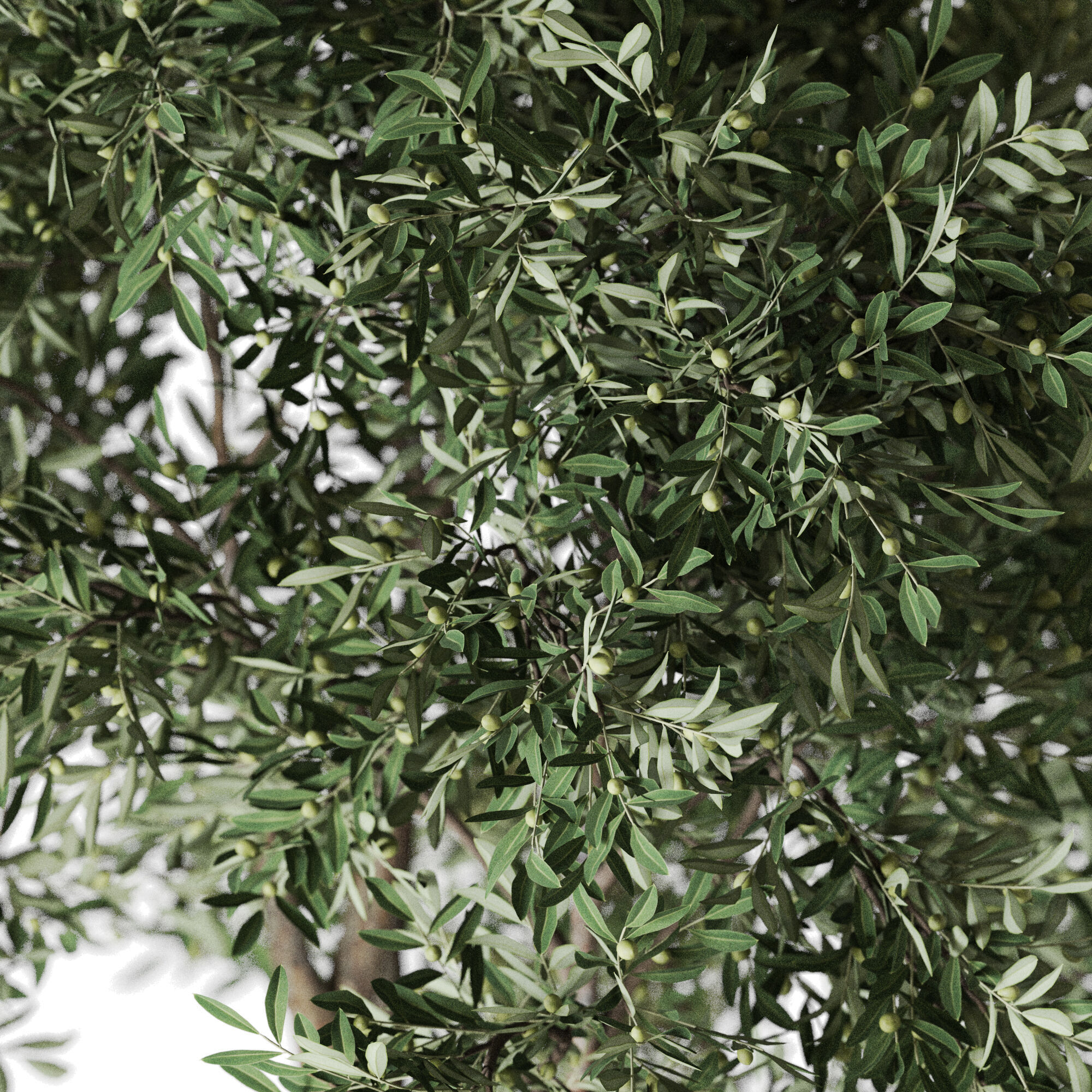 Plant 1222 3D model_2