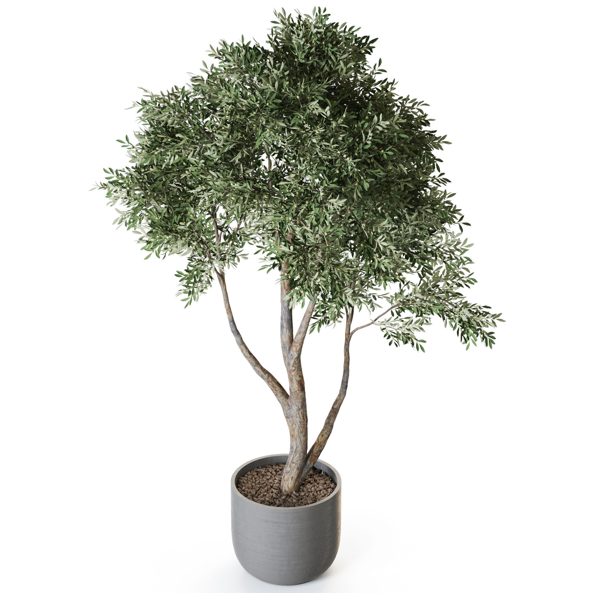 Plant 1222 3D model_3