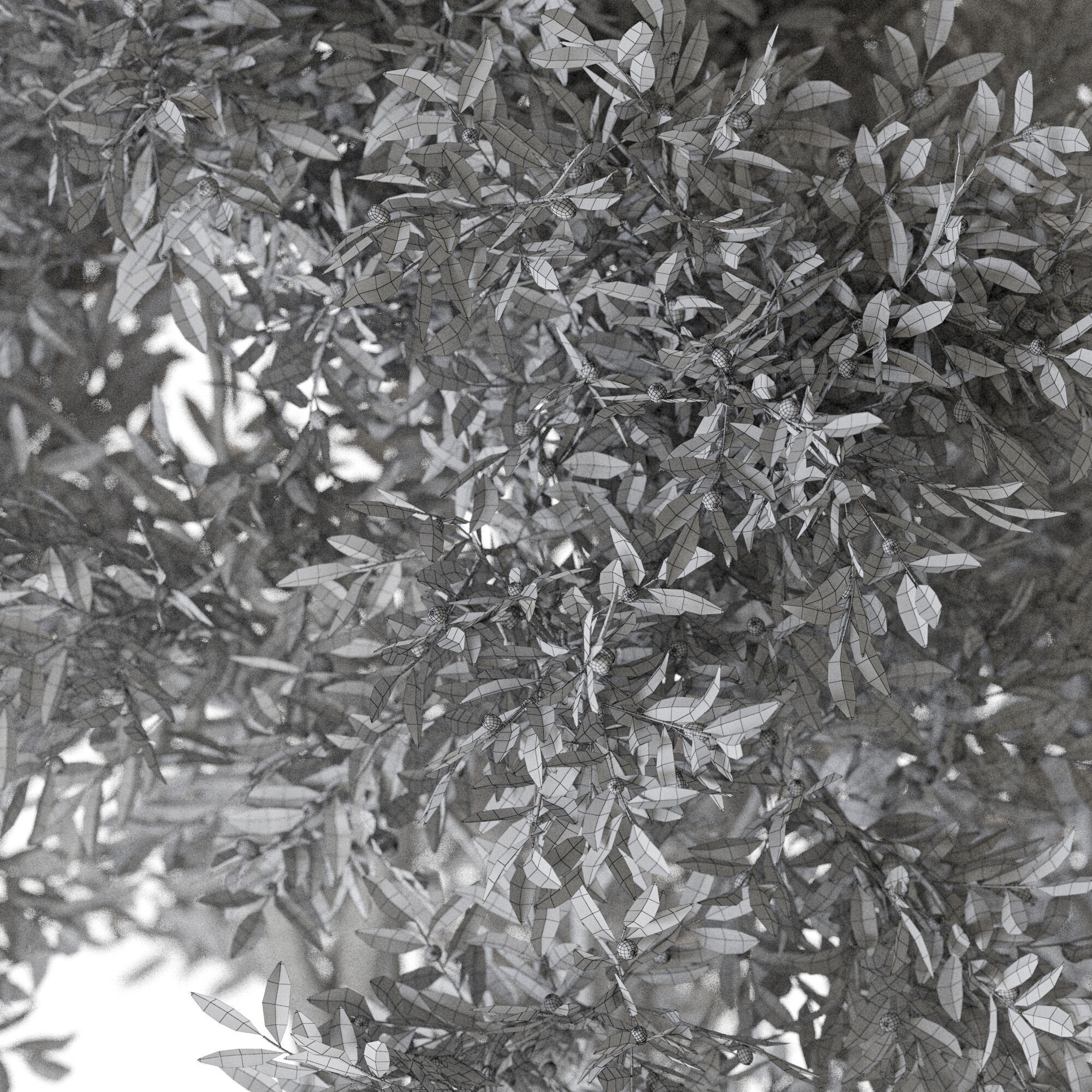 Plant 1222 3D model_5