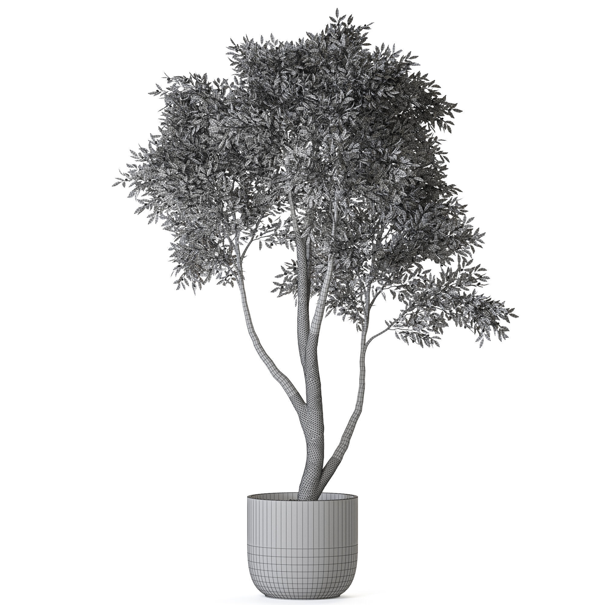 Plant 1222 3D model_4