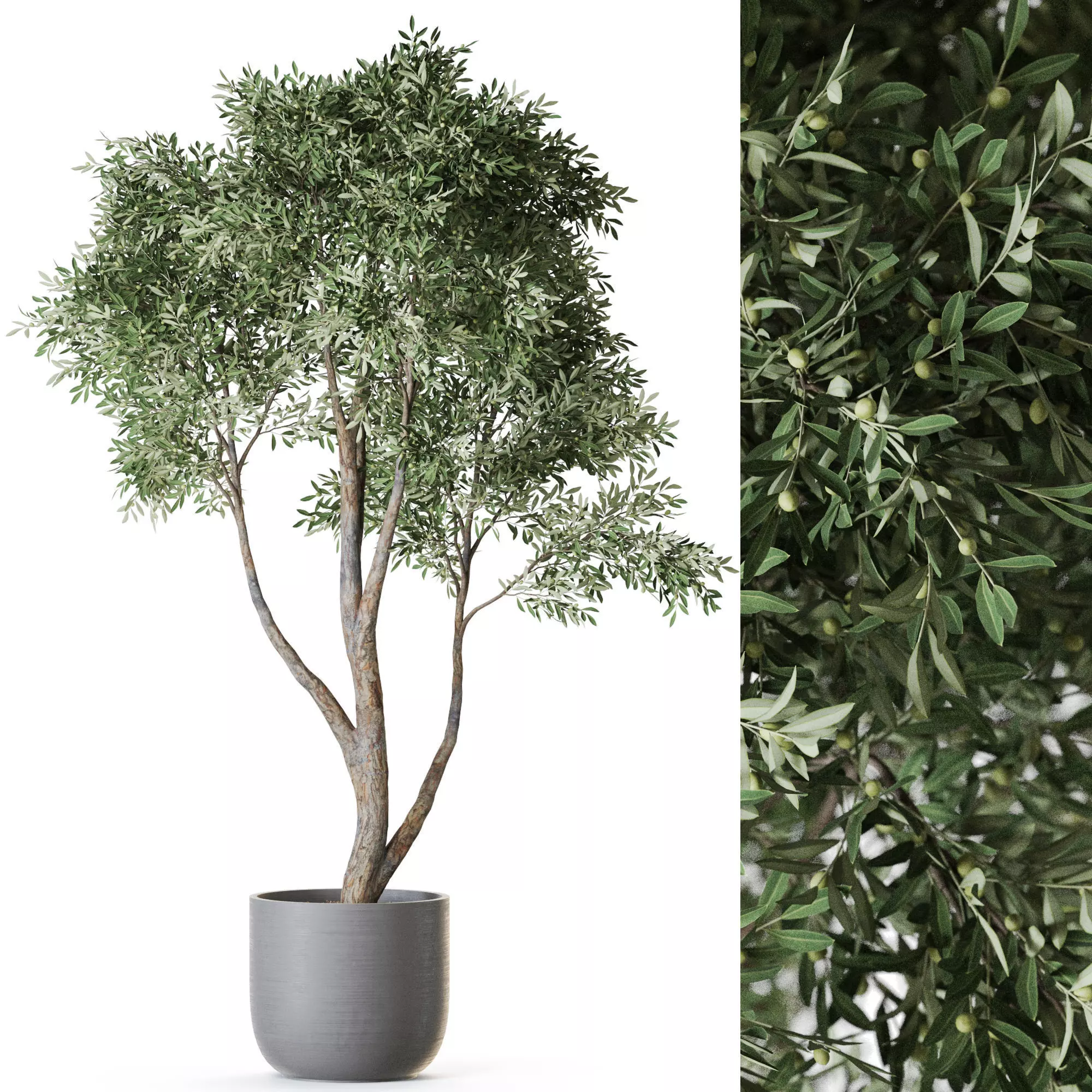 Plant 1222 3D model_0