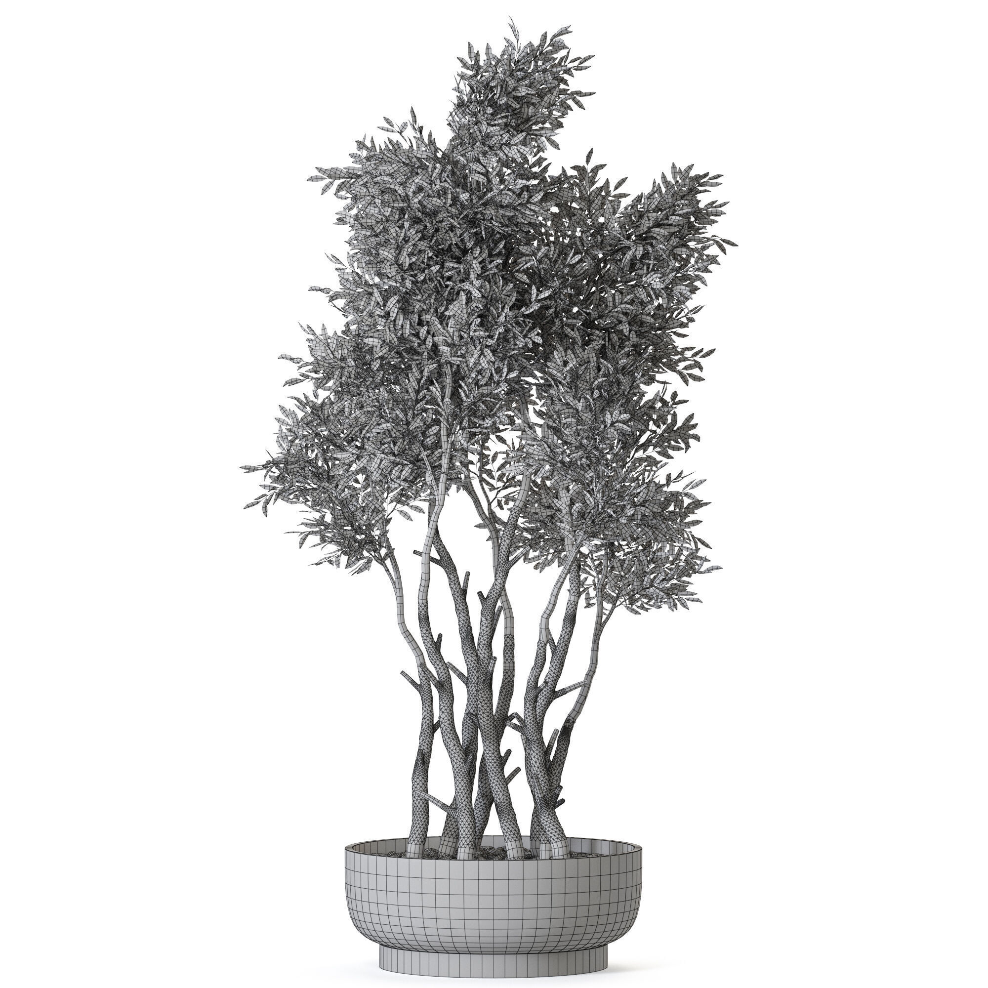 Plant 1223 3D model_4